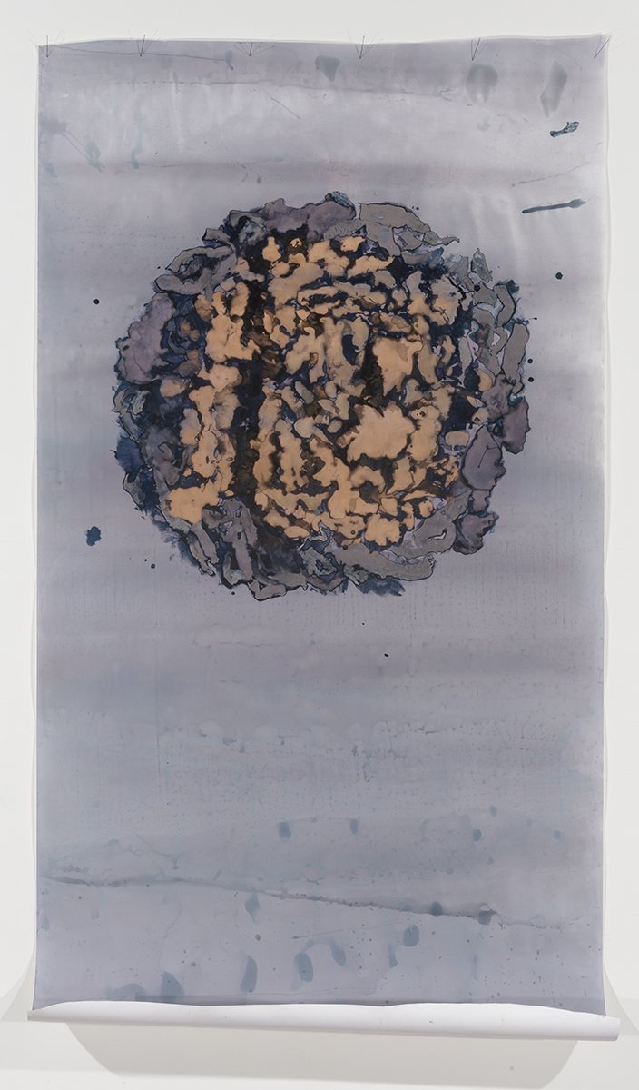 McDonald.AnneArden_SCROLL.Enzyme Lumen.jpg