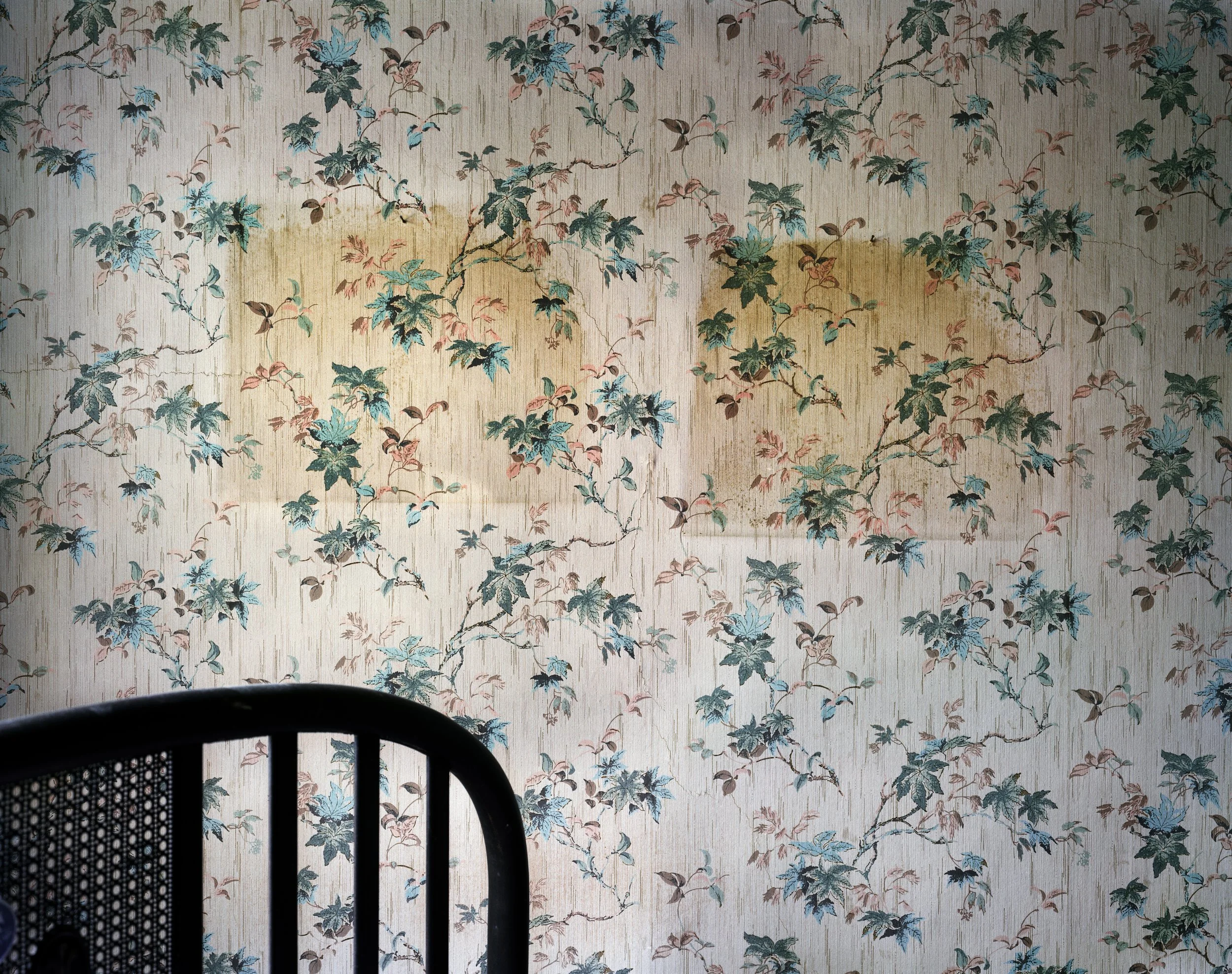 Pecchio.Pamela-Habitation_paintings-master.jpg