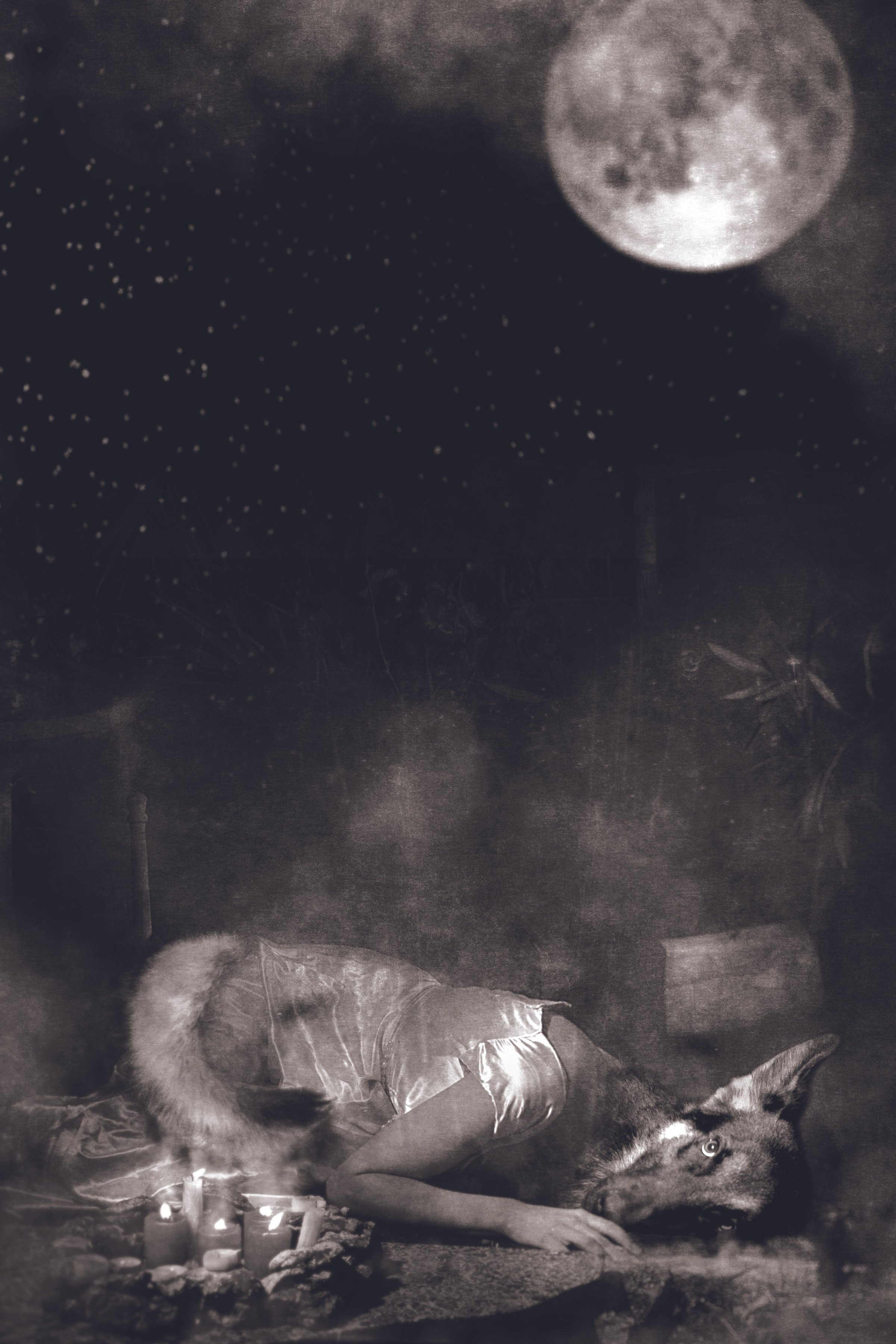 BlackForest_L+V-thepuppydied.jpeg