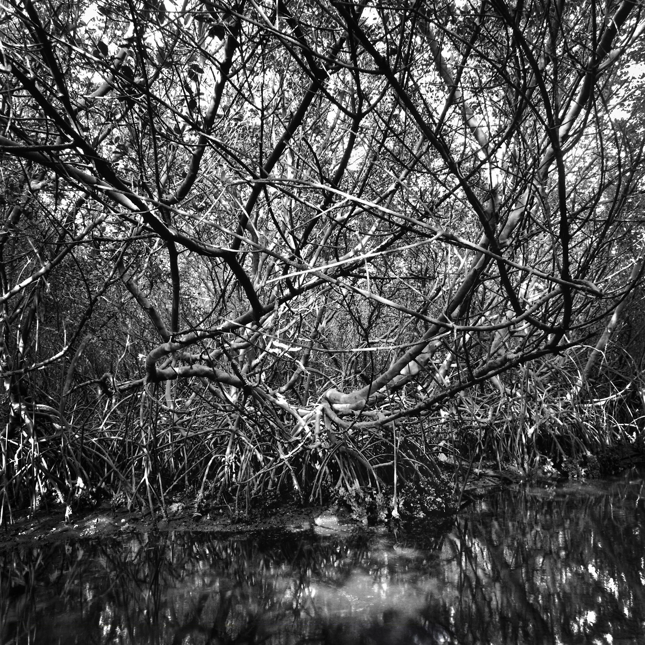 UnBound3_benjamin_dimmitt.jpg