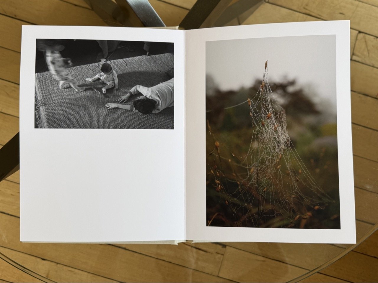 Kate Thompson | She Did What She Could, 2025