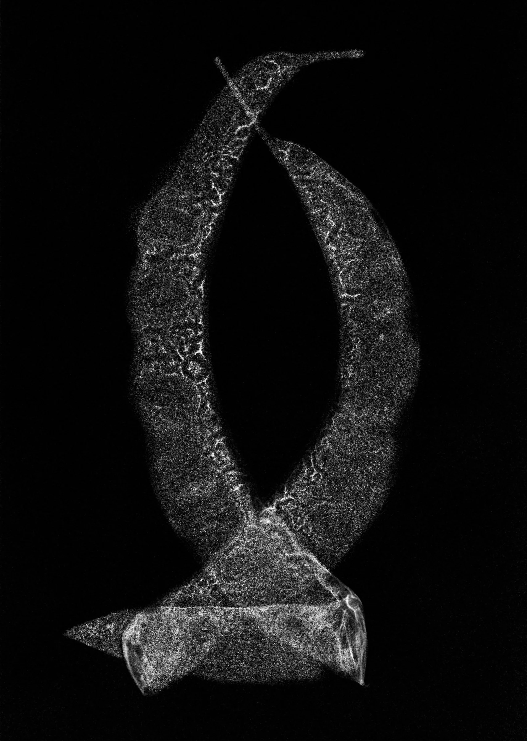 UnBound6_KentKrugh-HoneyLocustSeedPods.jpg
