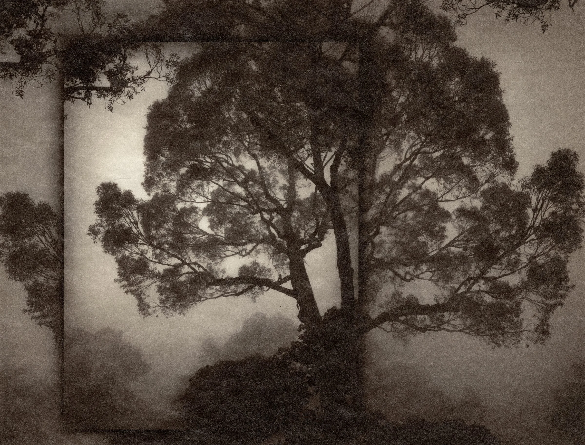 UnBound5_Schlesinger_Utopia-2.jpg
