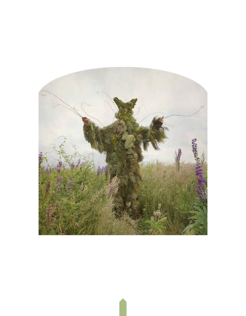 Kahn-Selesnick_100Views-47_king_of_weeds(p).jpg