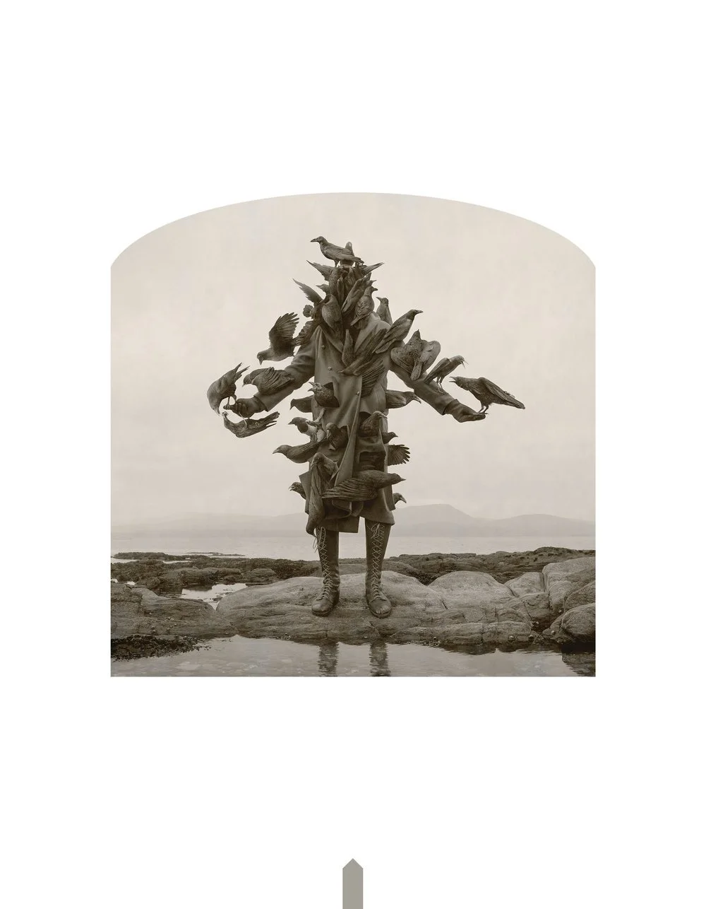 Kahn-Selesnick_100Views-33_language_of_birds(p).jpg