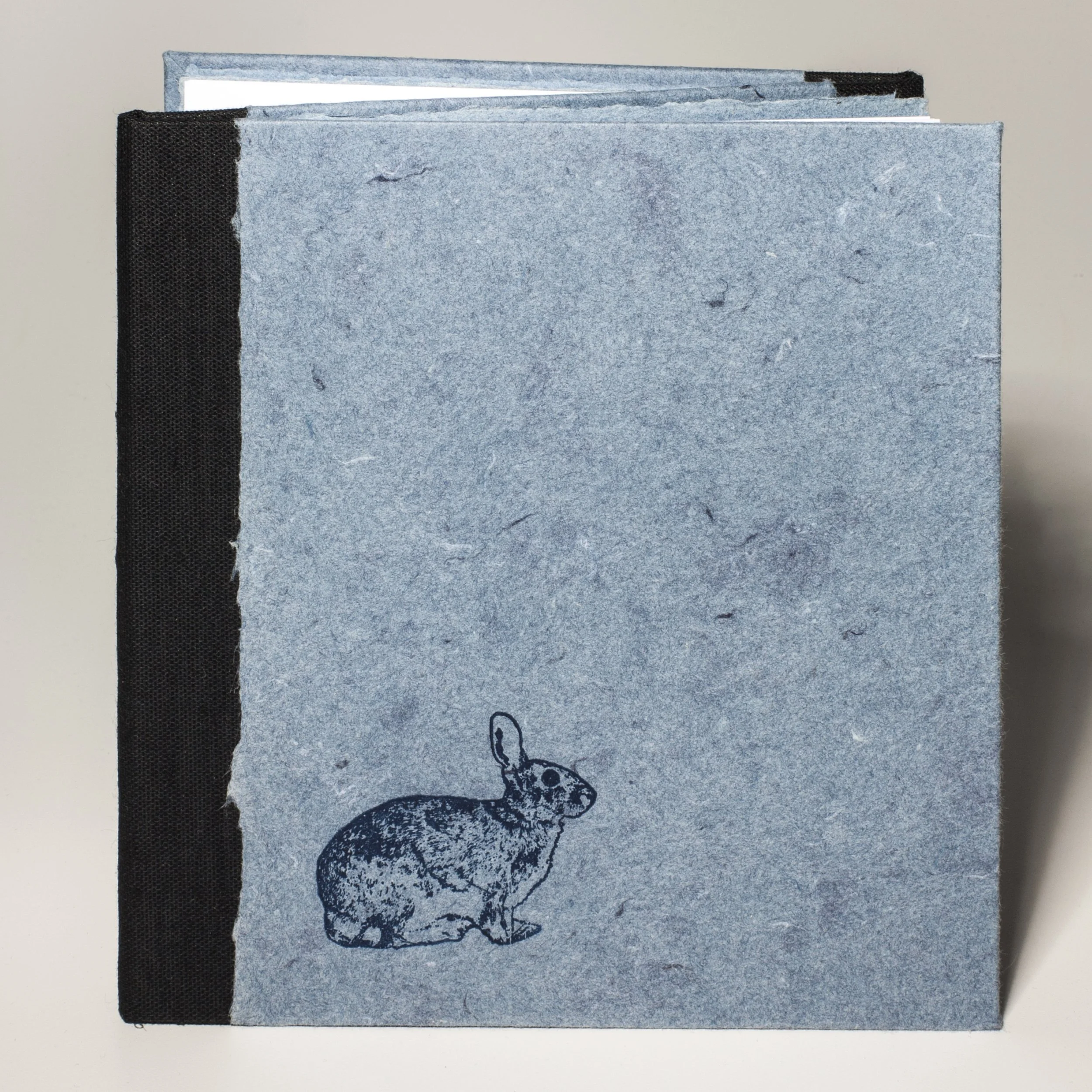 UnBound4_FrankHamrick.RabbitRunsInCircle.Hardcover.jpg