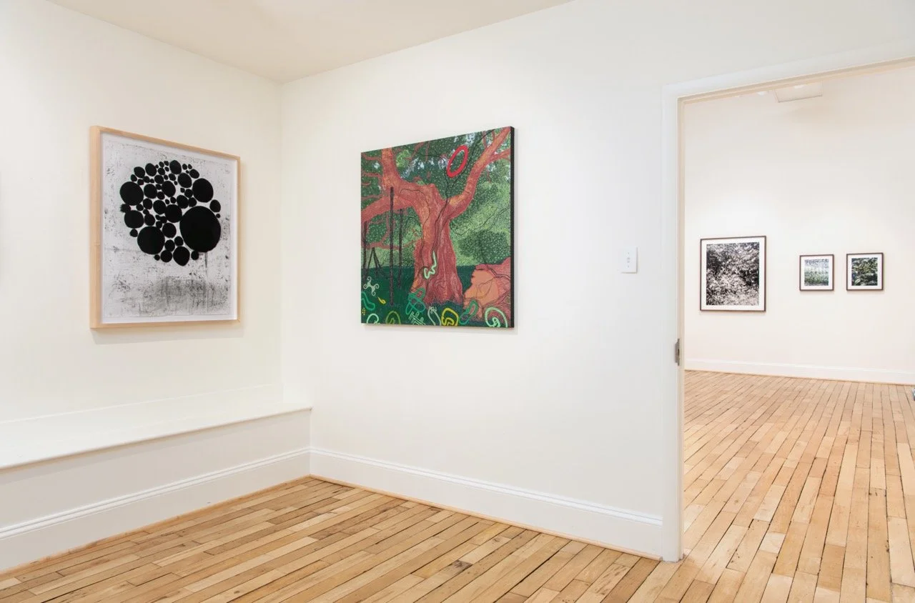 CandelaGallery-RichmondVirginia-PhotoByTerryBrown-012.jpeg