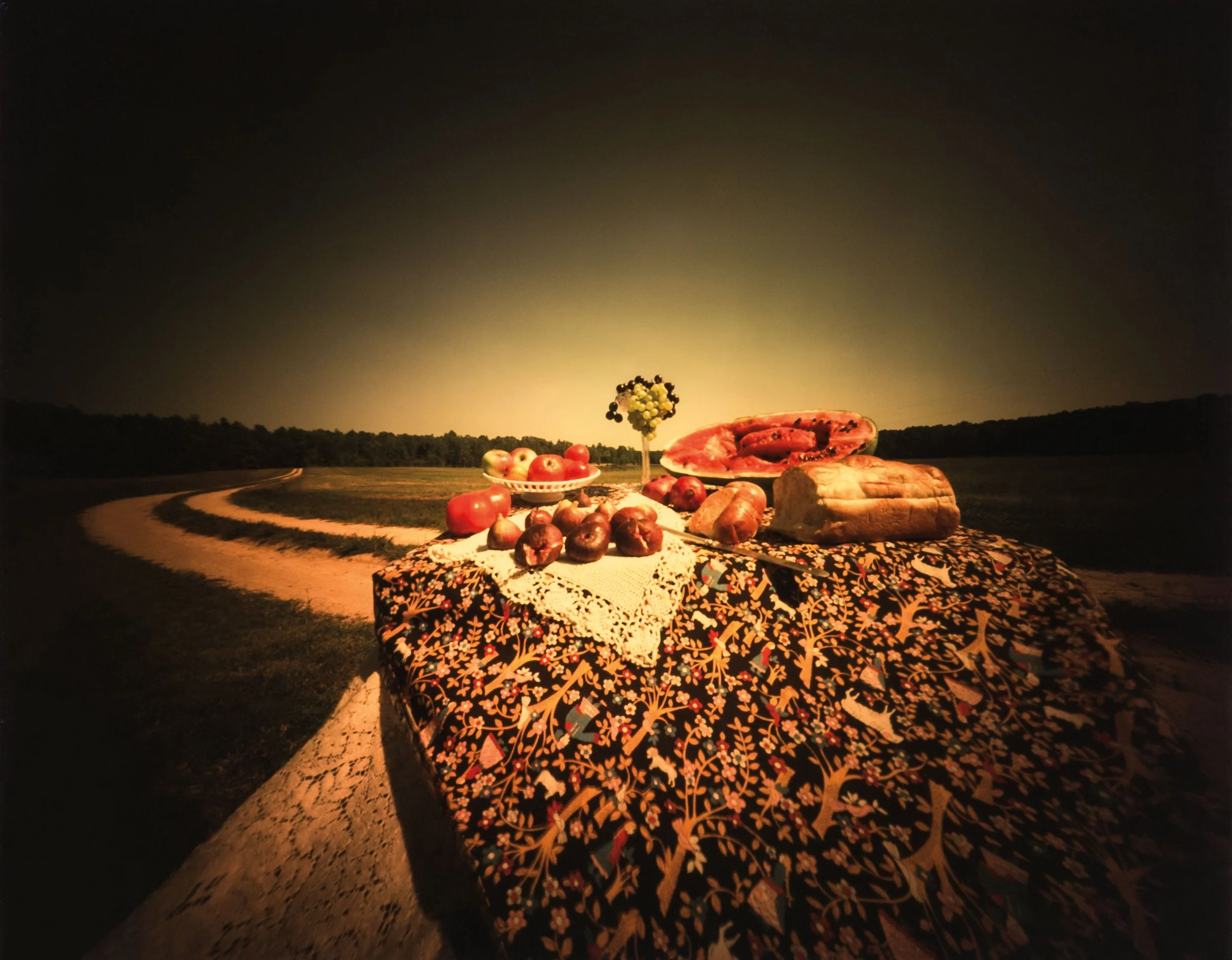 Wright.WillieAnne_DirectPositive-Still Life with Richard’s Road #2, 9.11.1981.jpg