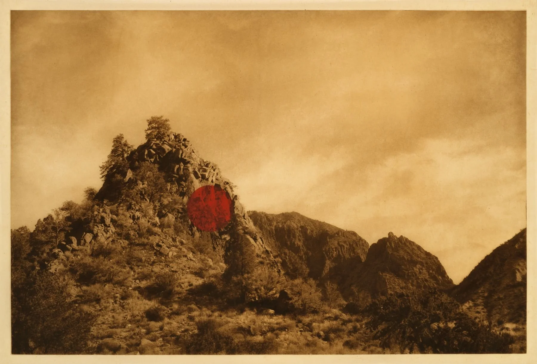 Blackwood_Chisos.jpg