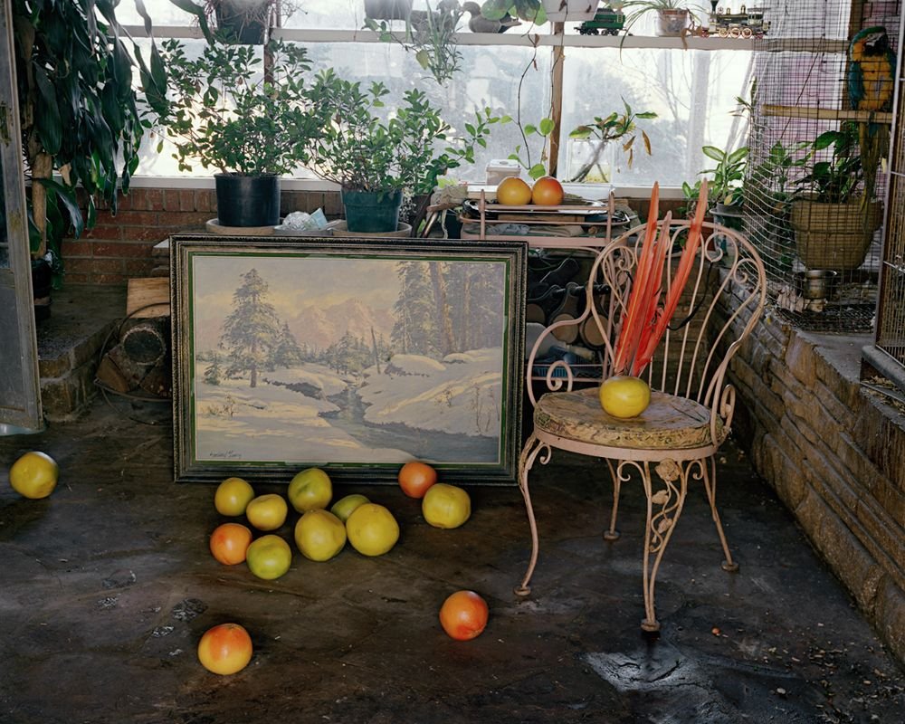 Worsham_TheParrotRoom.jpg