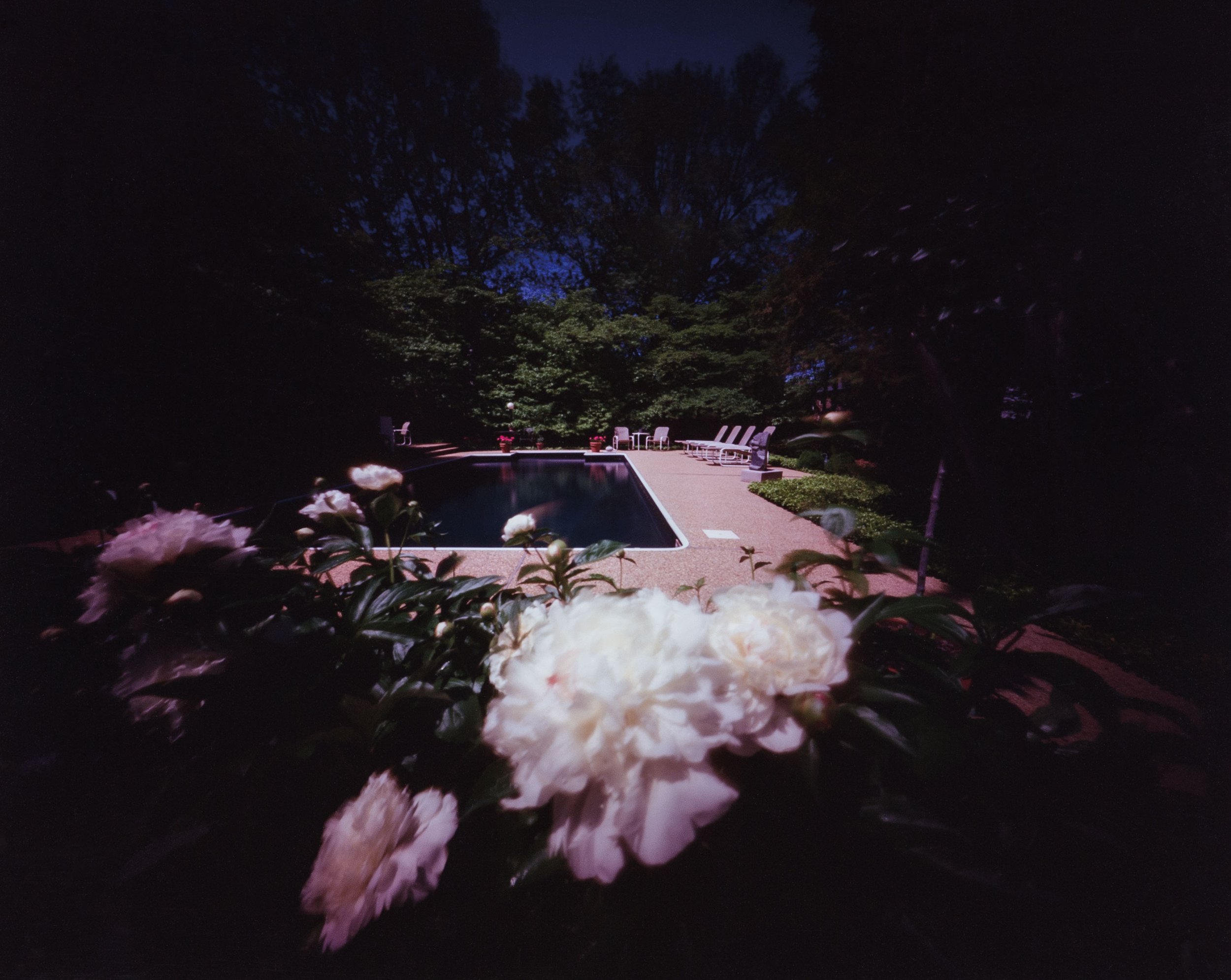 Wright.WillieAnne_DirectPositive-Richmond, Virginia Jack B.’s Pool with Peonies, 5.08.1986.jpg