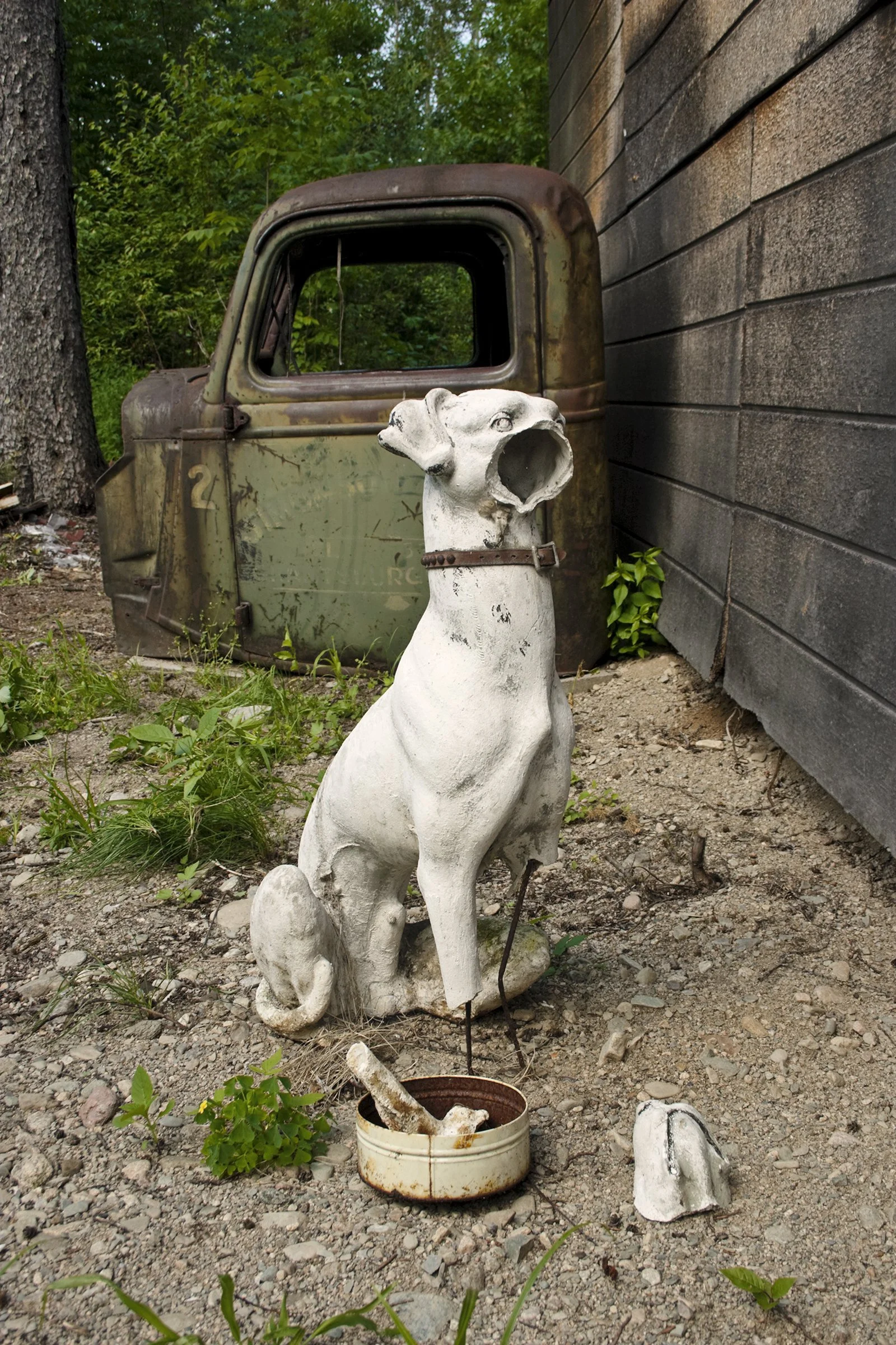 UnBound2_Simonson-Dog.jpg
