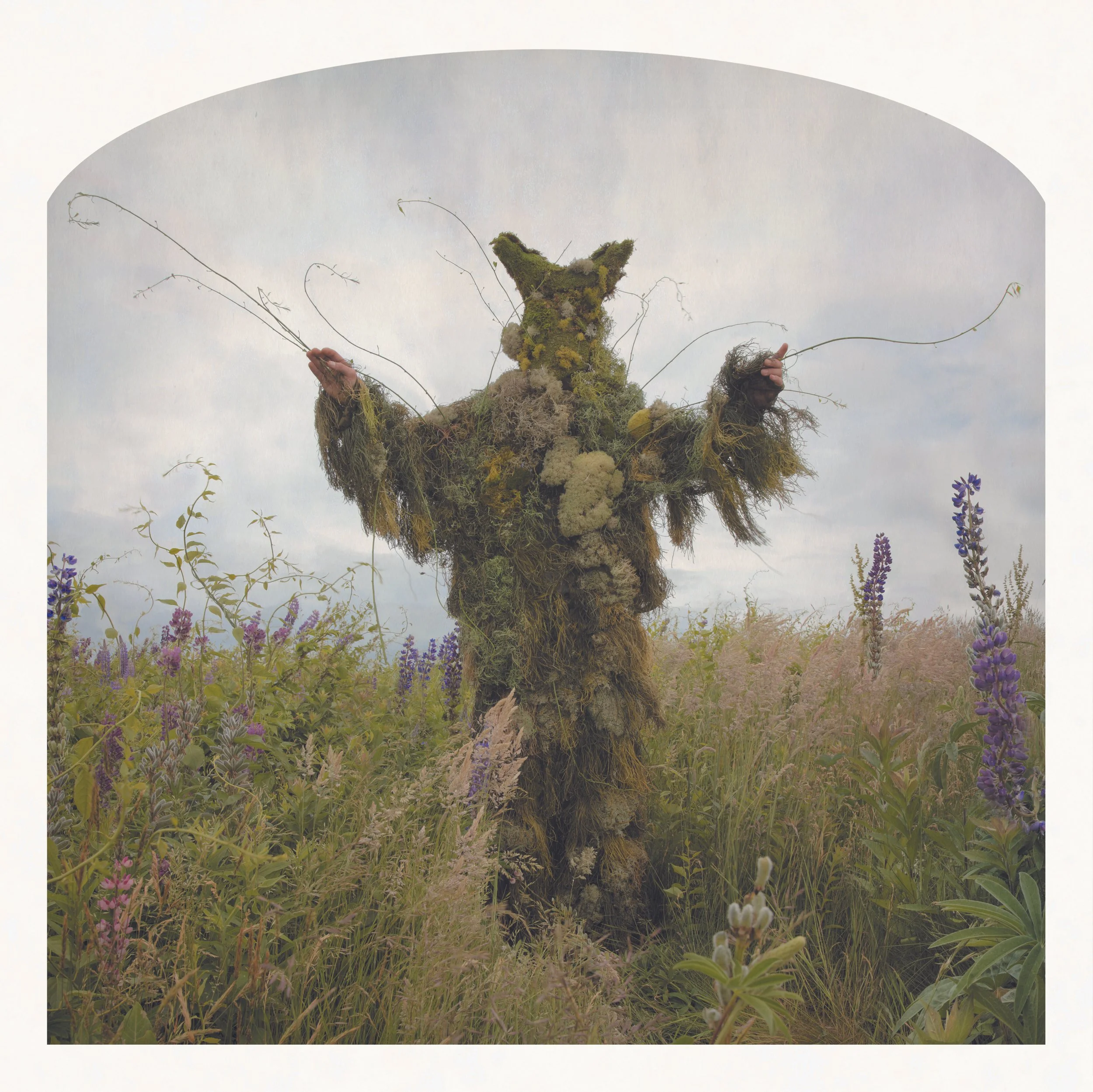 BlackForest_Selesnickking_of_weeds.jpeg