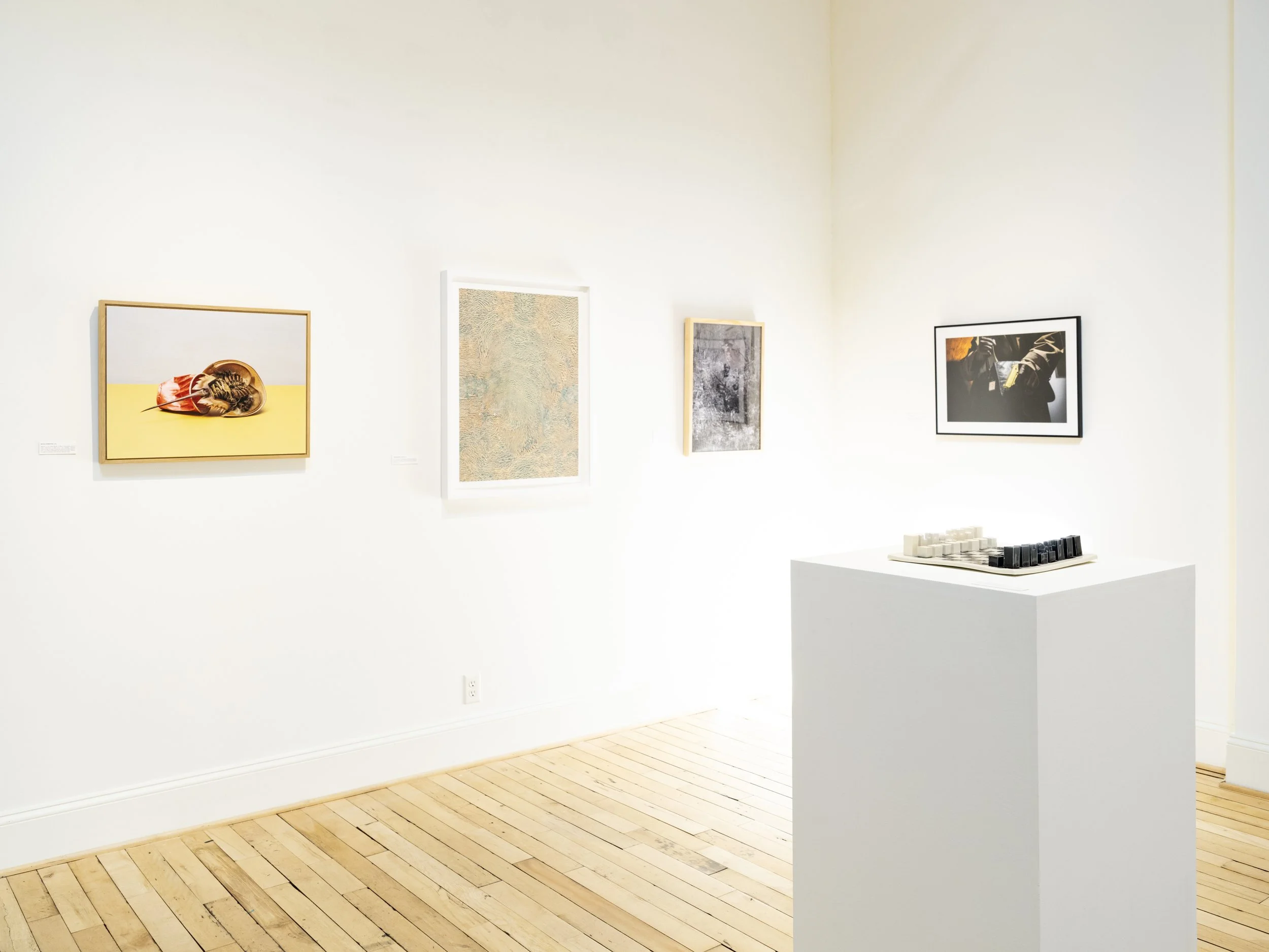 UNBOUND15-INSTALL-1-13.jpg