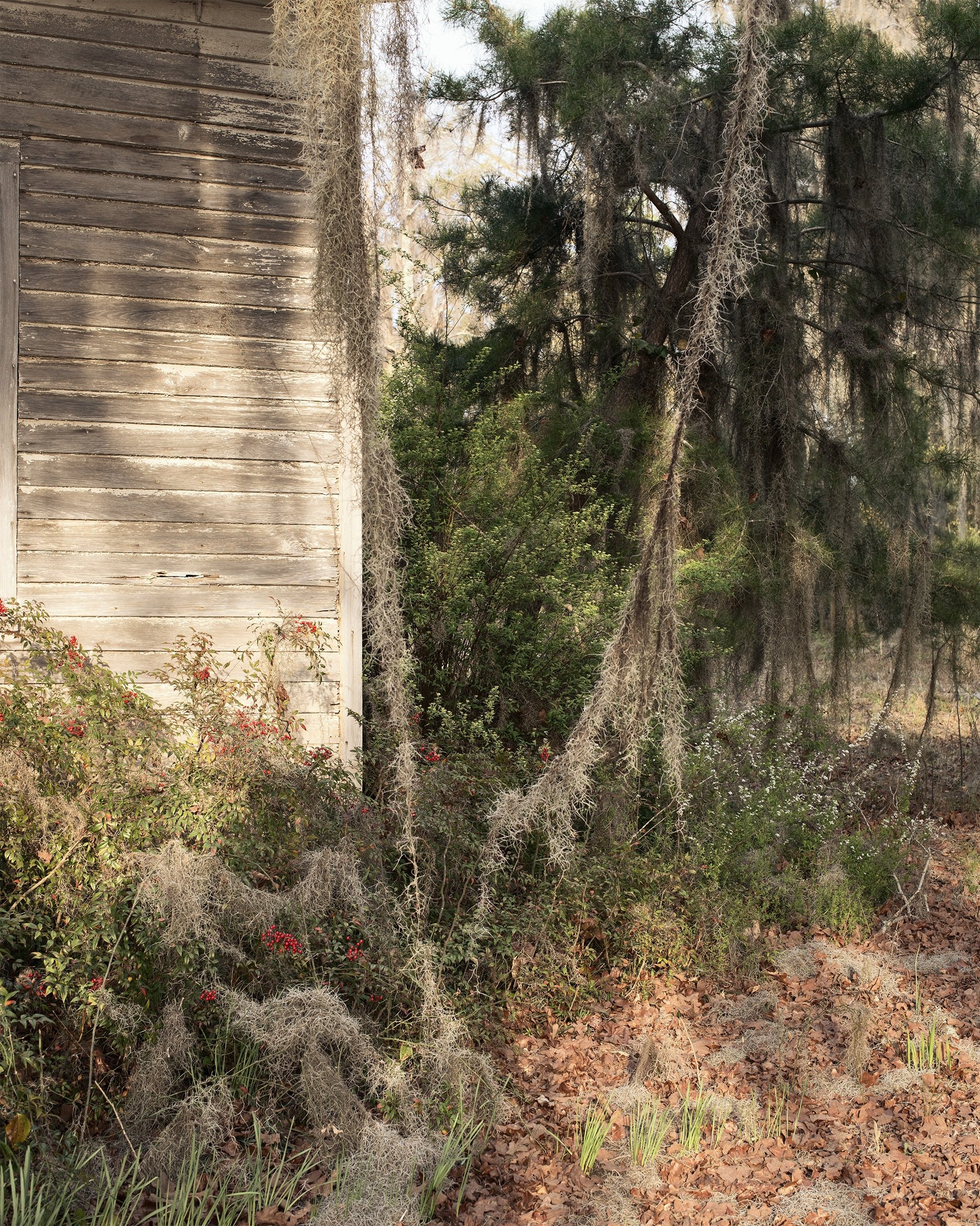 UnBound3_JessicaIngram_Moss_8in300dpi.jpg