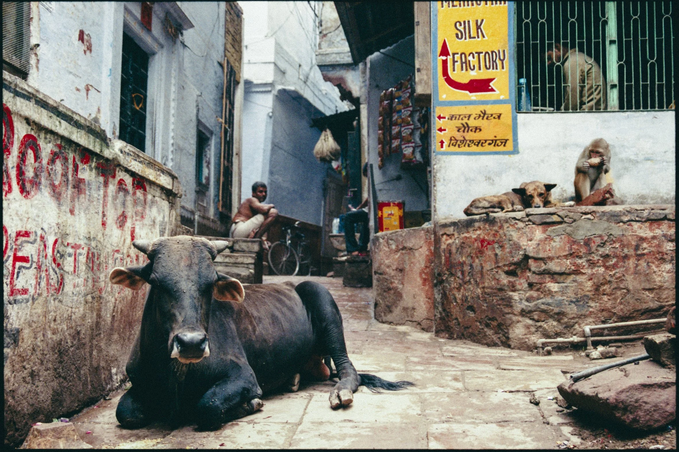Thomas-SYMONDS_India-023.jpg
