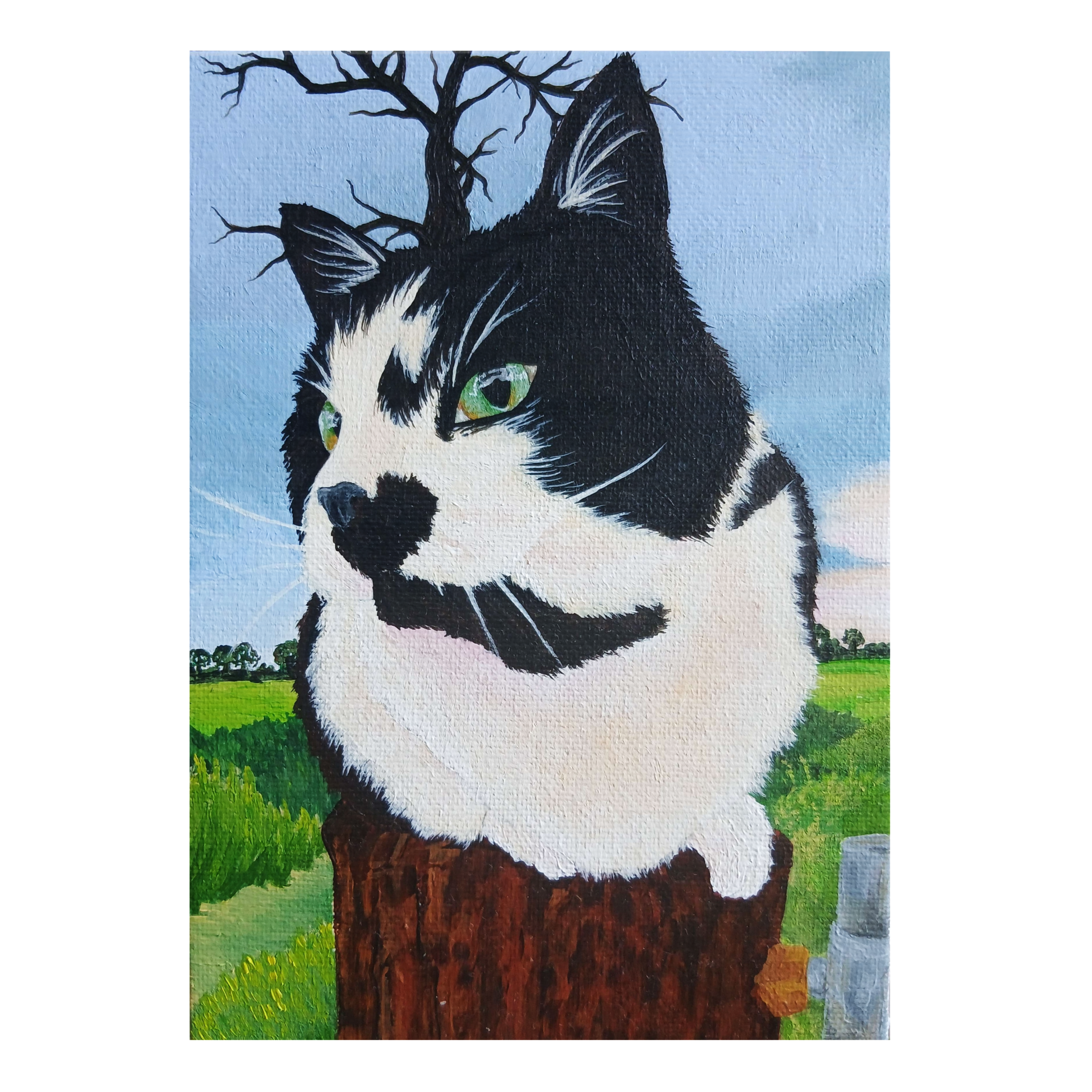 Fluffy, 2026, Acrylic on canvas board, 12.7 x 17.8cm
