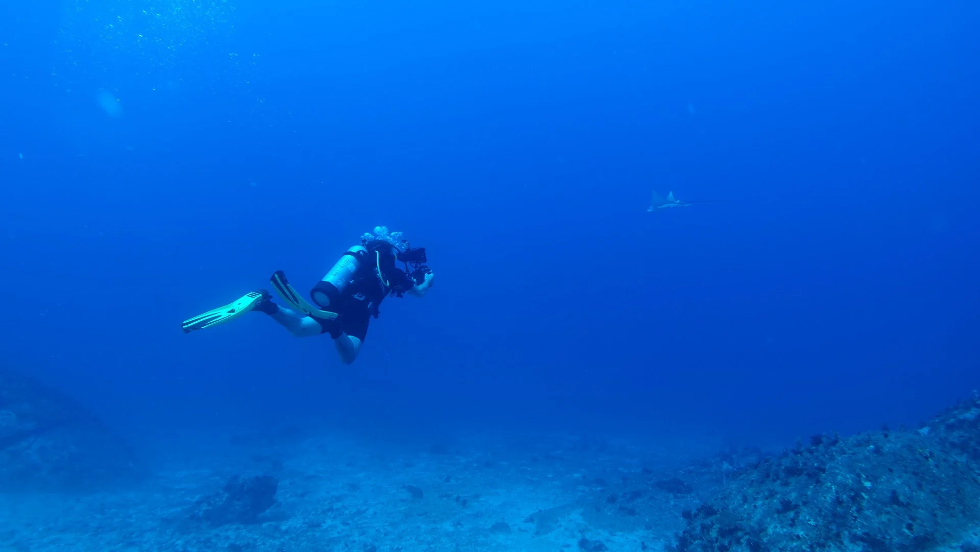 A scuba diver swimming in the deep blue ocean with a shark in the distance.