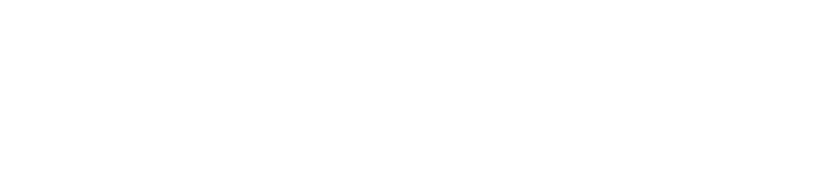 Logo with the words 'FONDATION CNRS' in black and white.