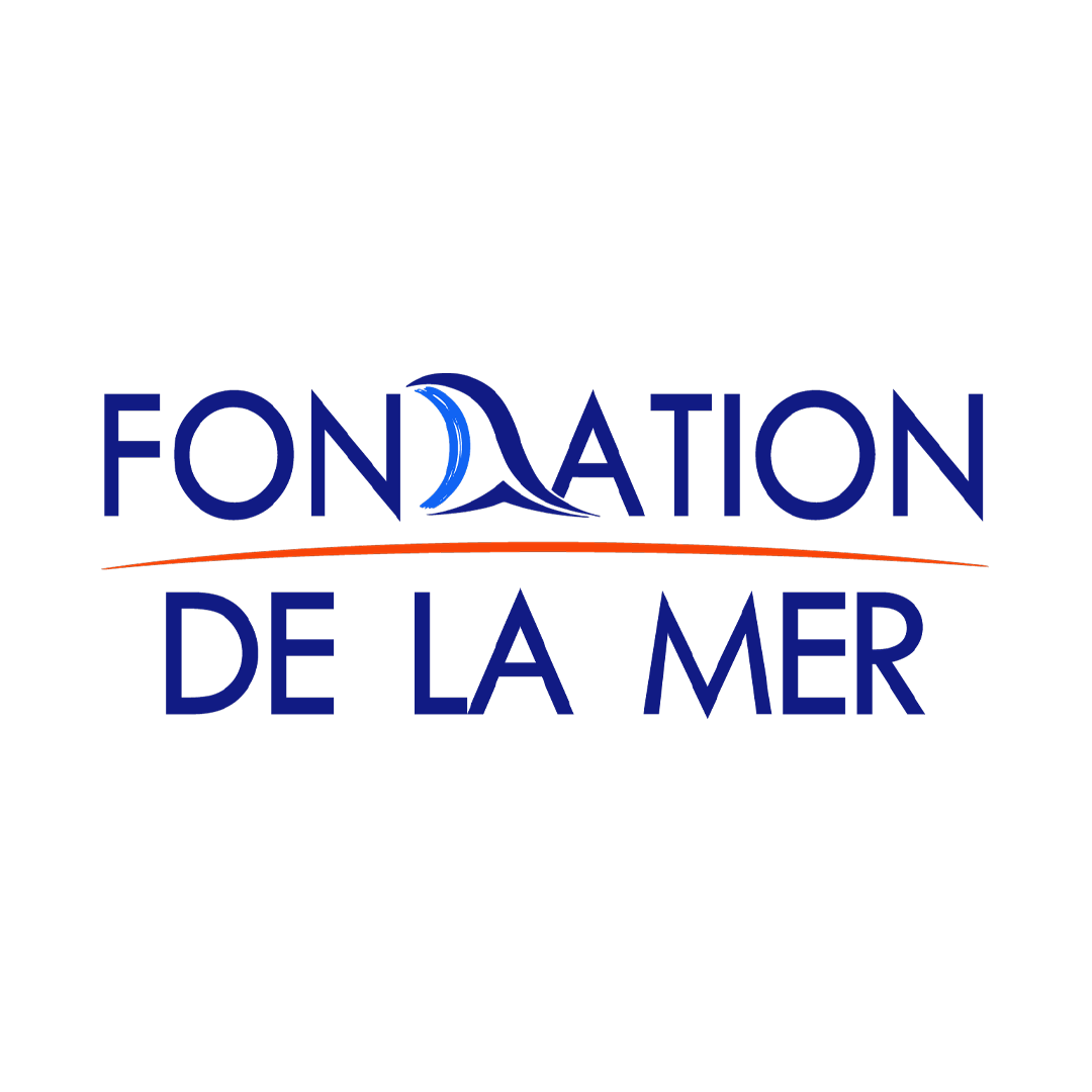 Logo for Fondation de la Mer featuring a stylized wave in blue above the text in blue, with an orange underline.