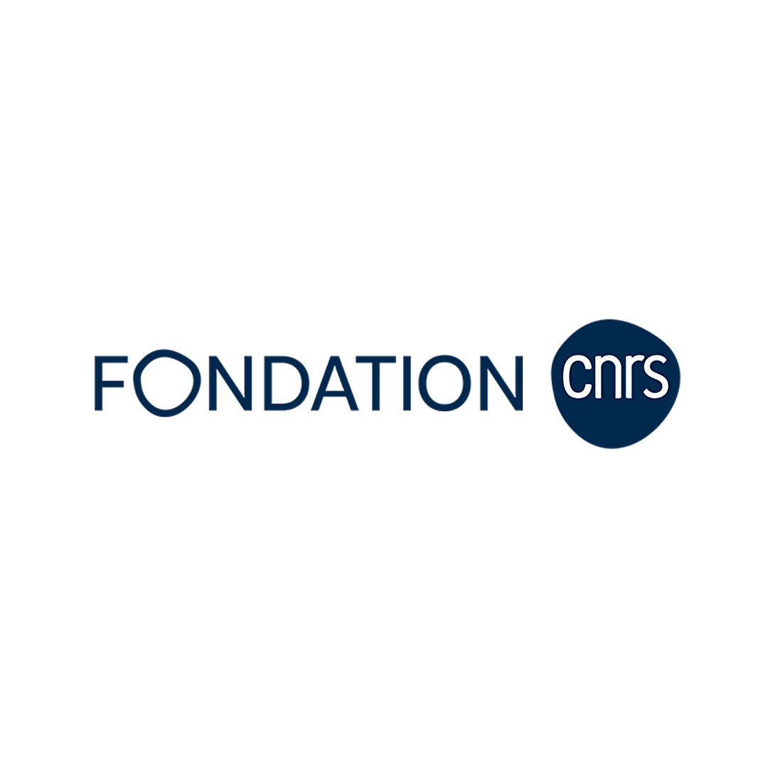 The logo of Fondation CNRS featuring a blue circle with the white lowercase letters 'cnrs' and the word 'FONDATION' in blue uppercase letters below.