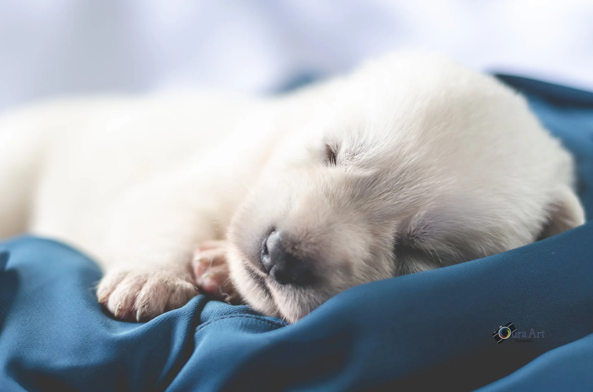 Pet Newborn 5mes-2.jpg