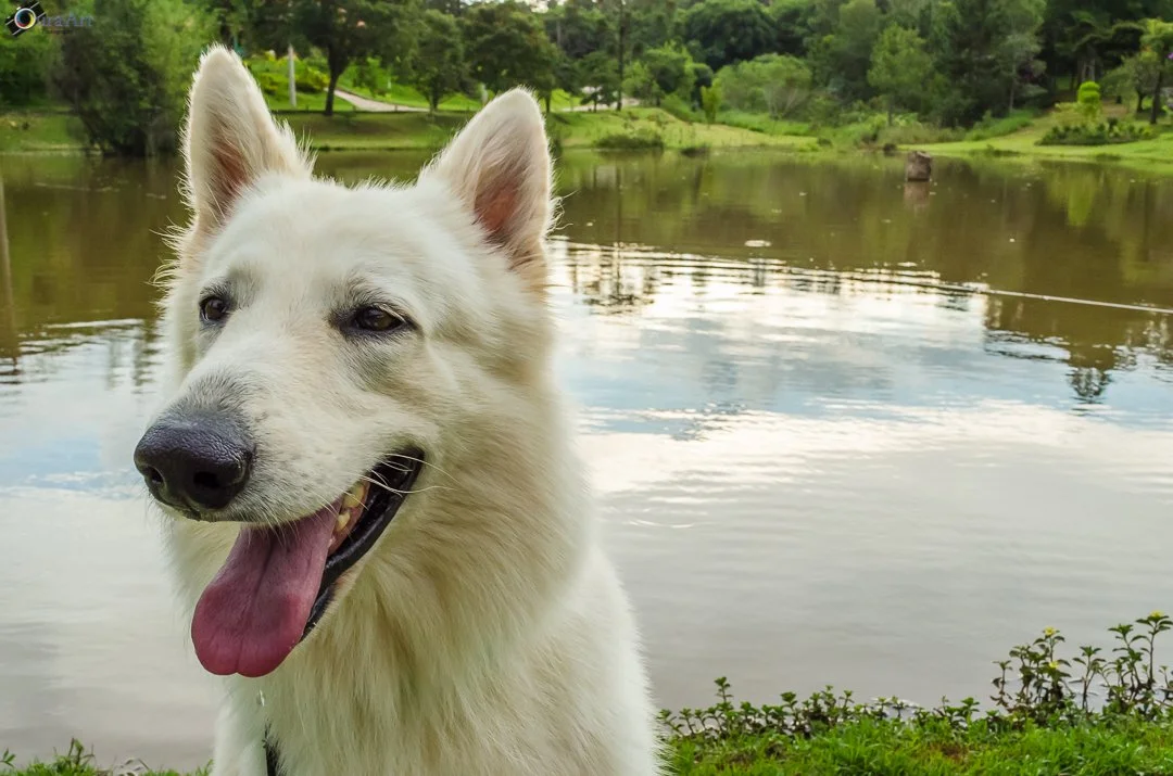 Skylovers 2015 Ouraart Photography-3.jpg