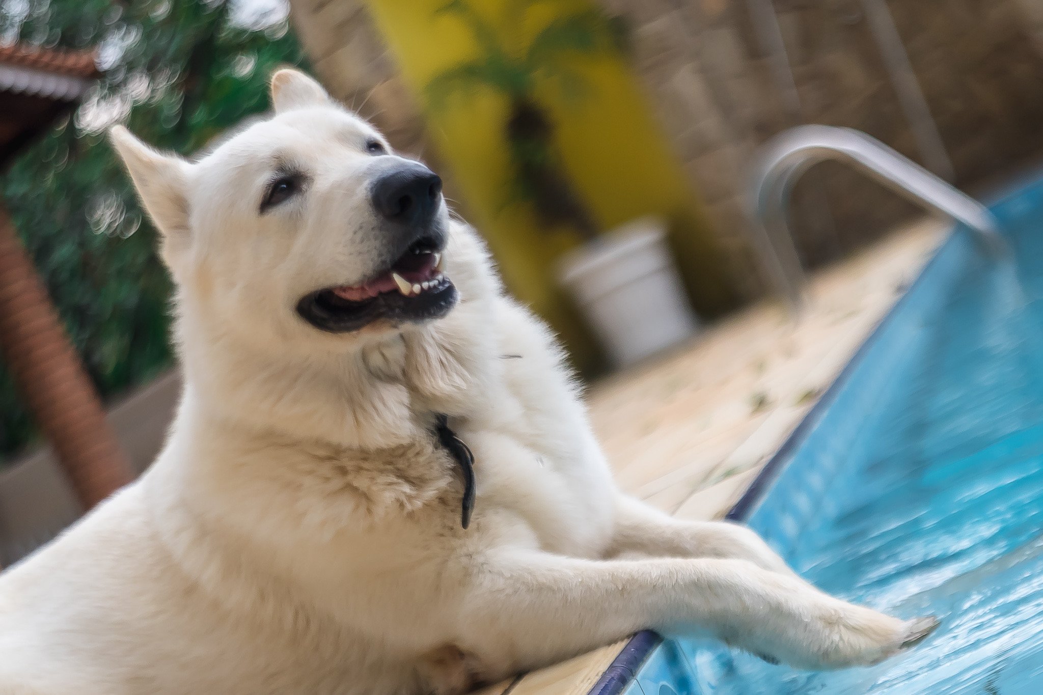 l helios 44-2 review-8.jpeg