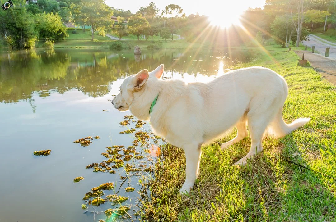 Skylovers 2015 Ouraart Photography.jpg