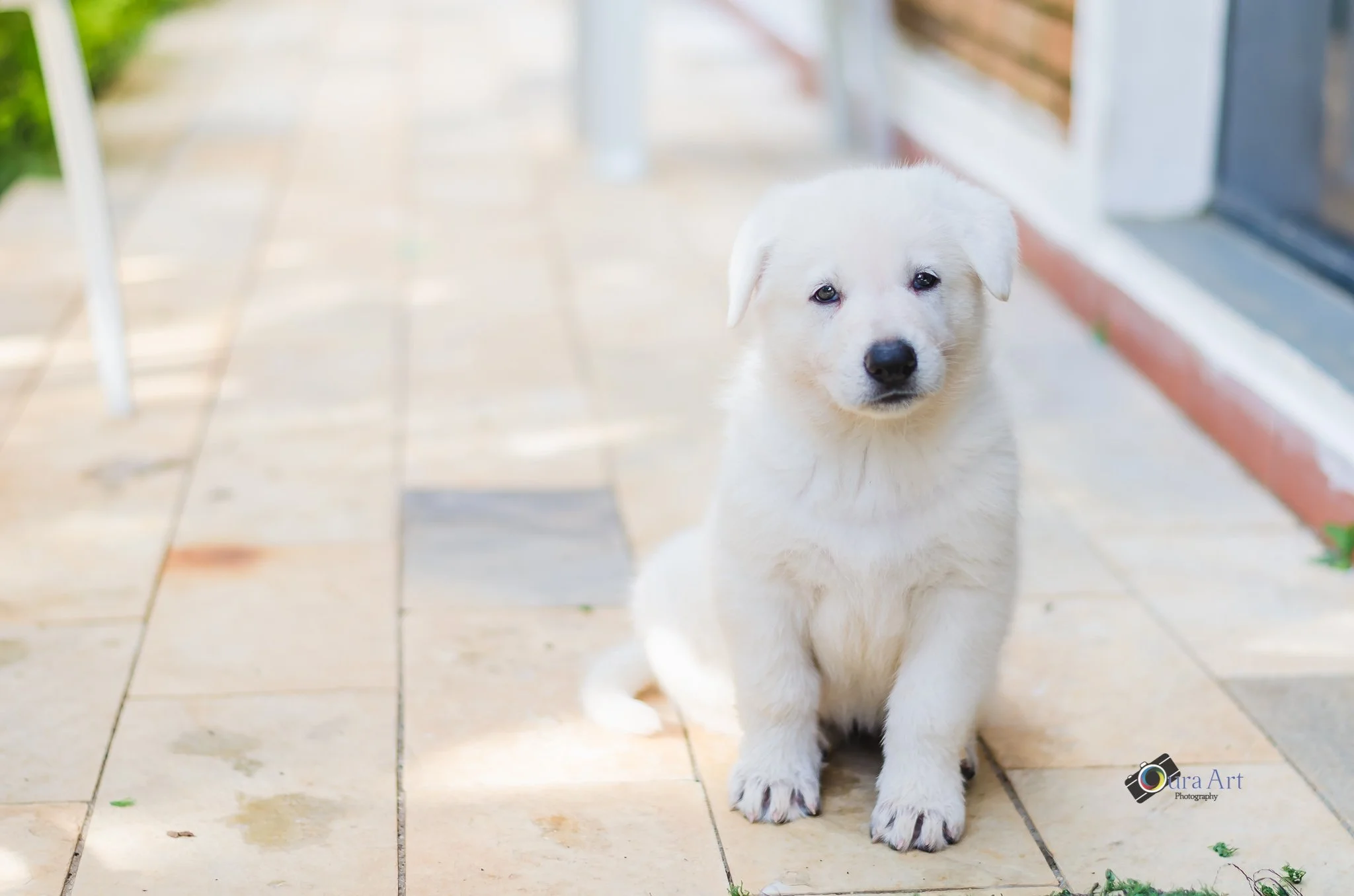 Bu n2 amamentando-5.jpg