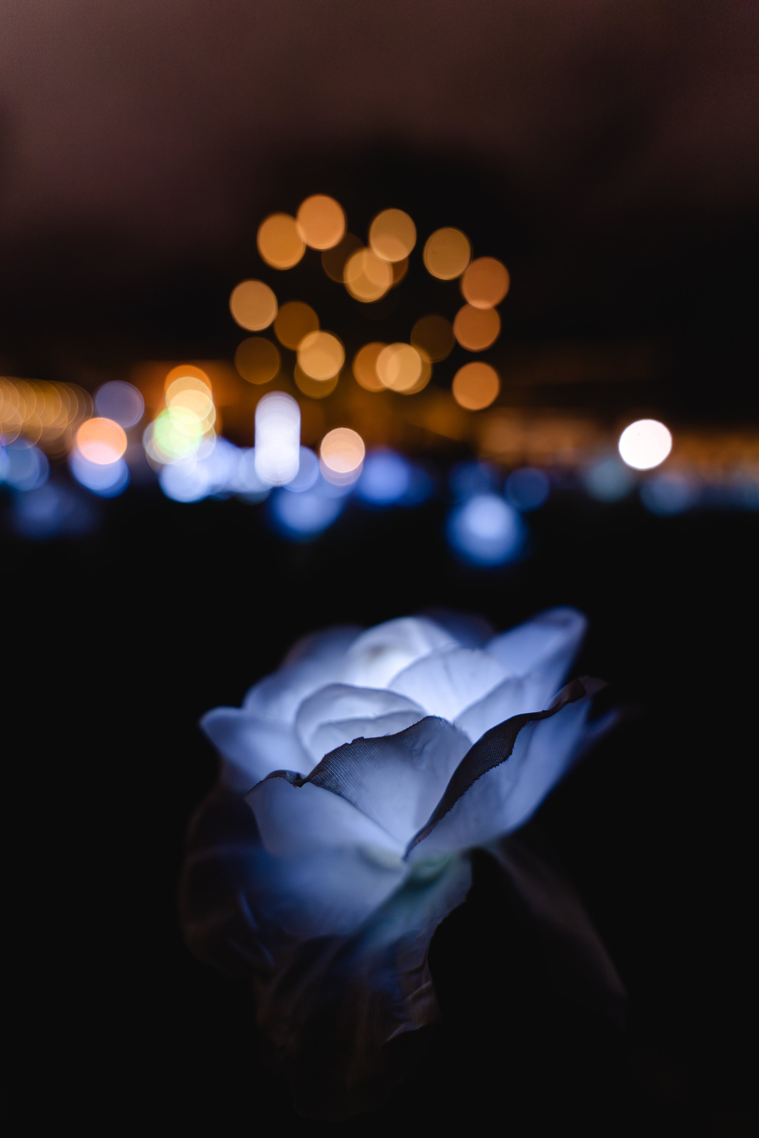 Impressões Ampliações