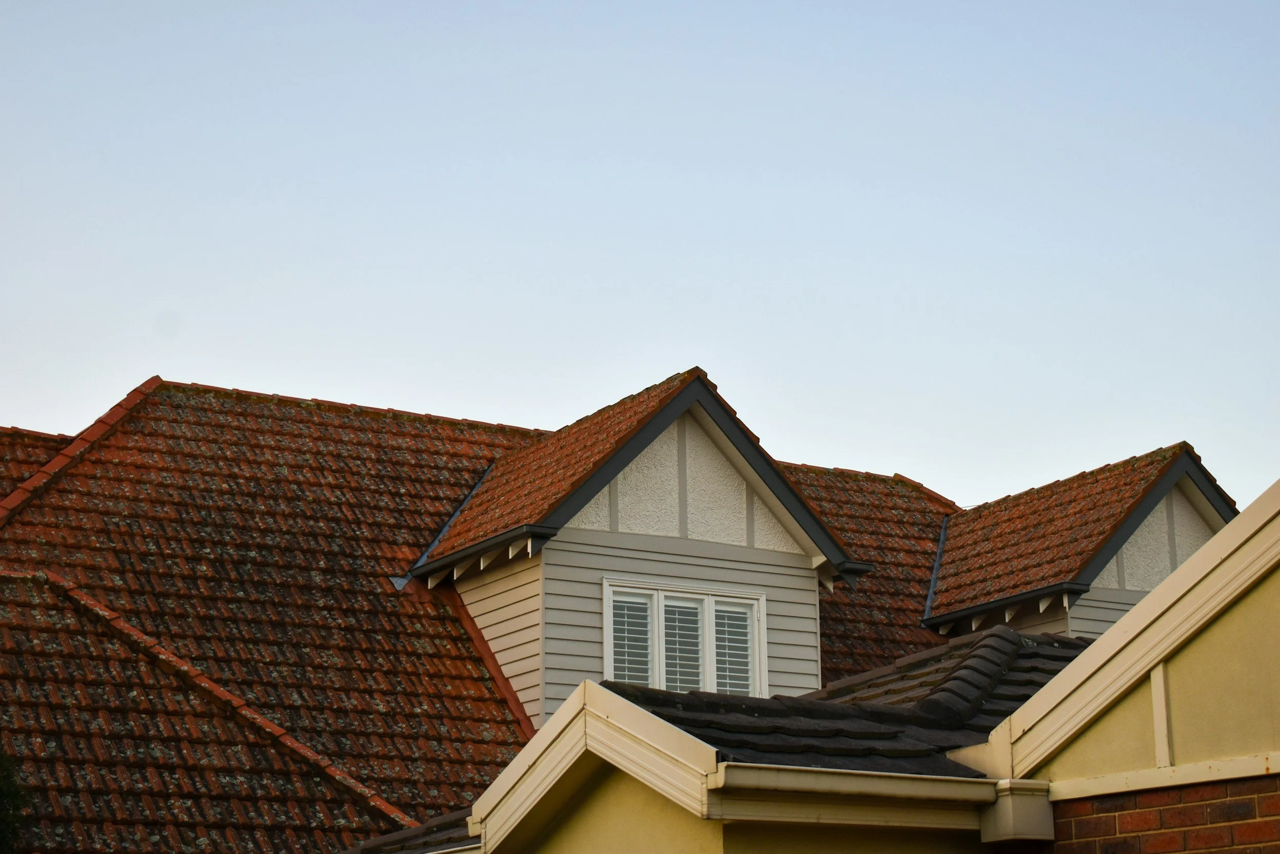 Residential roof before professional cleaning and maintenance