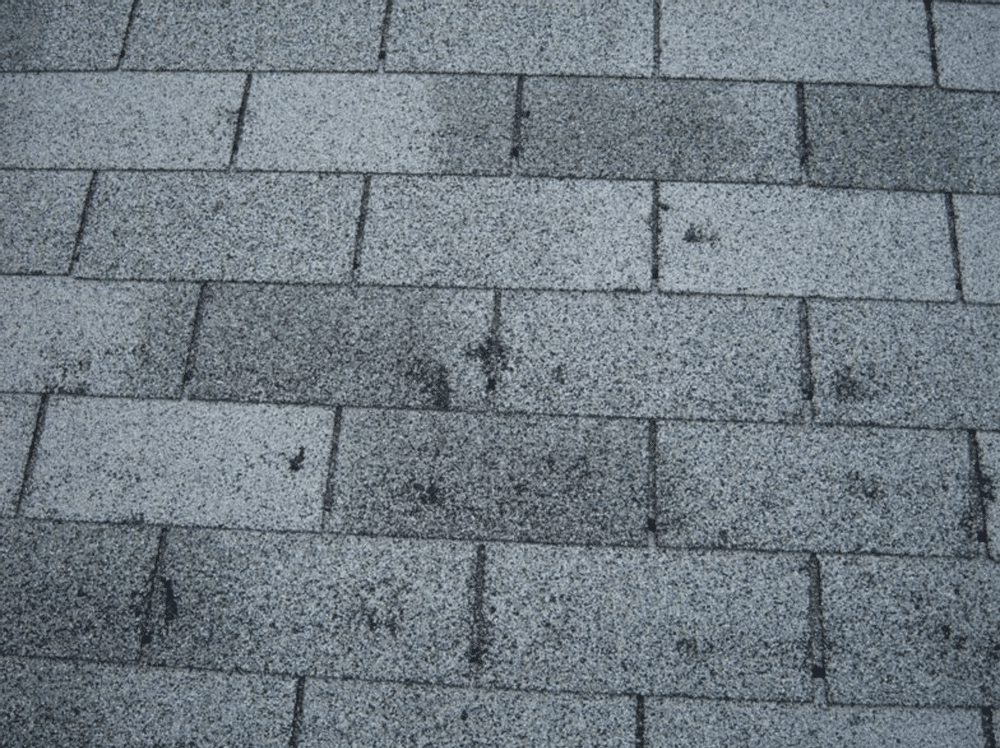Damaged shingles on a residential roof