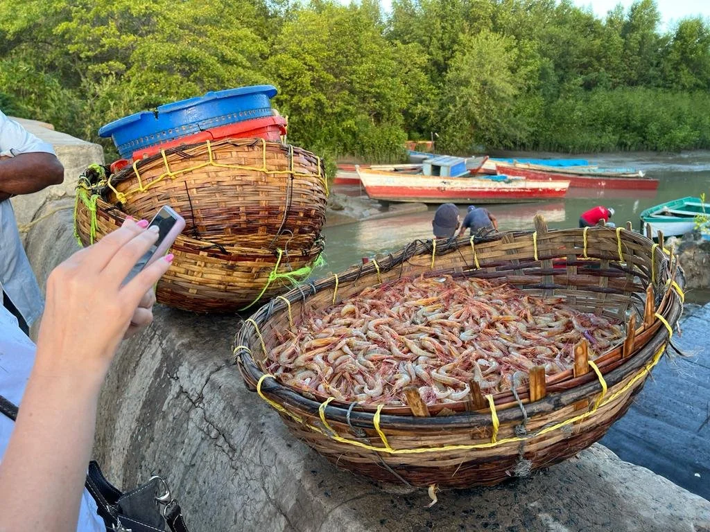 Affirma Consulting Inc. image.