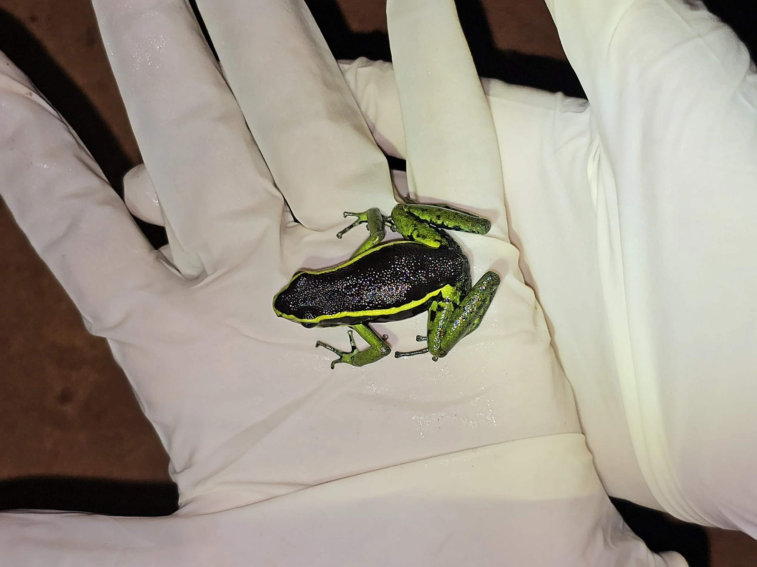 Affirma Consulting Inc. image.