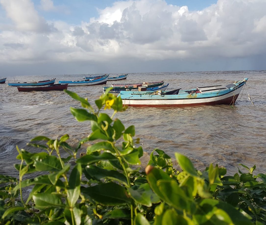 Affirma Consulting Inc. image.