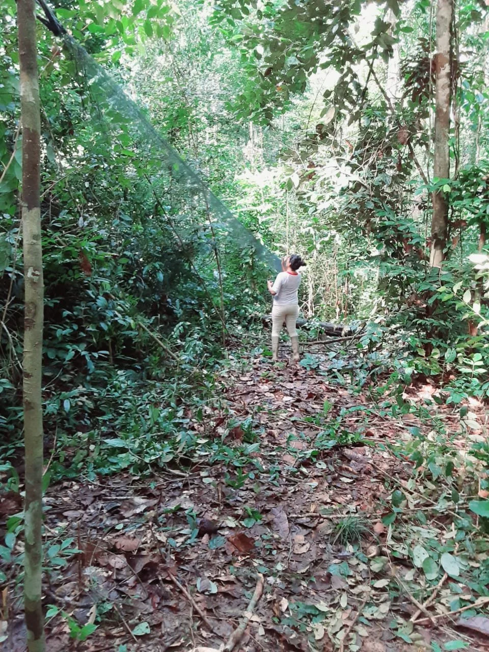 Affirma Consulting Inc. image.