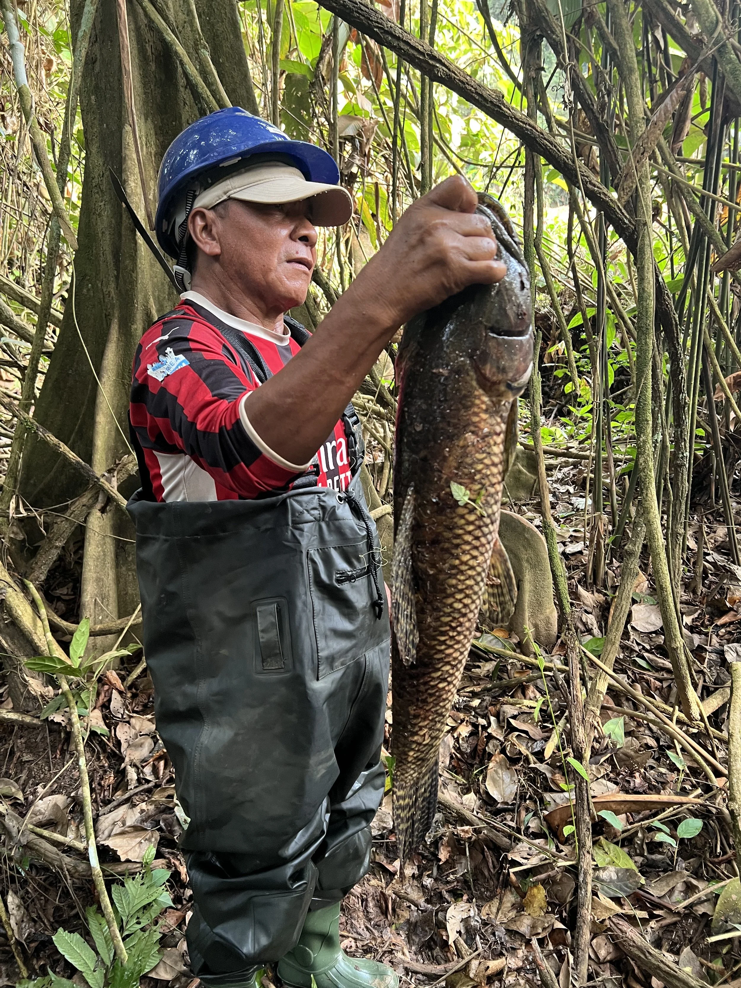 Affirma Consulting Inc. image.