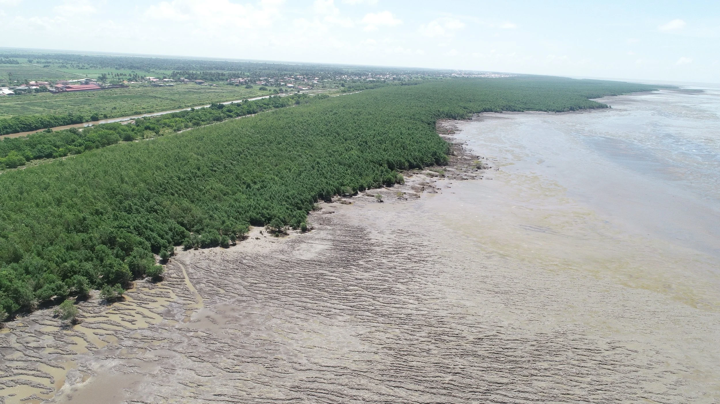 Affirma Consulting Inc. image.