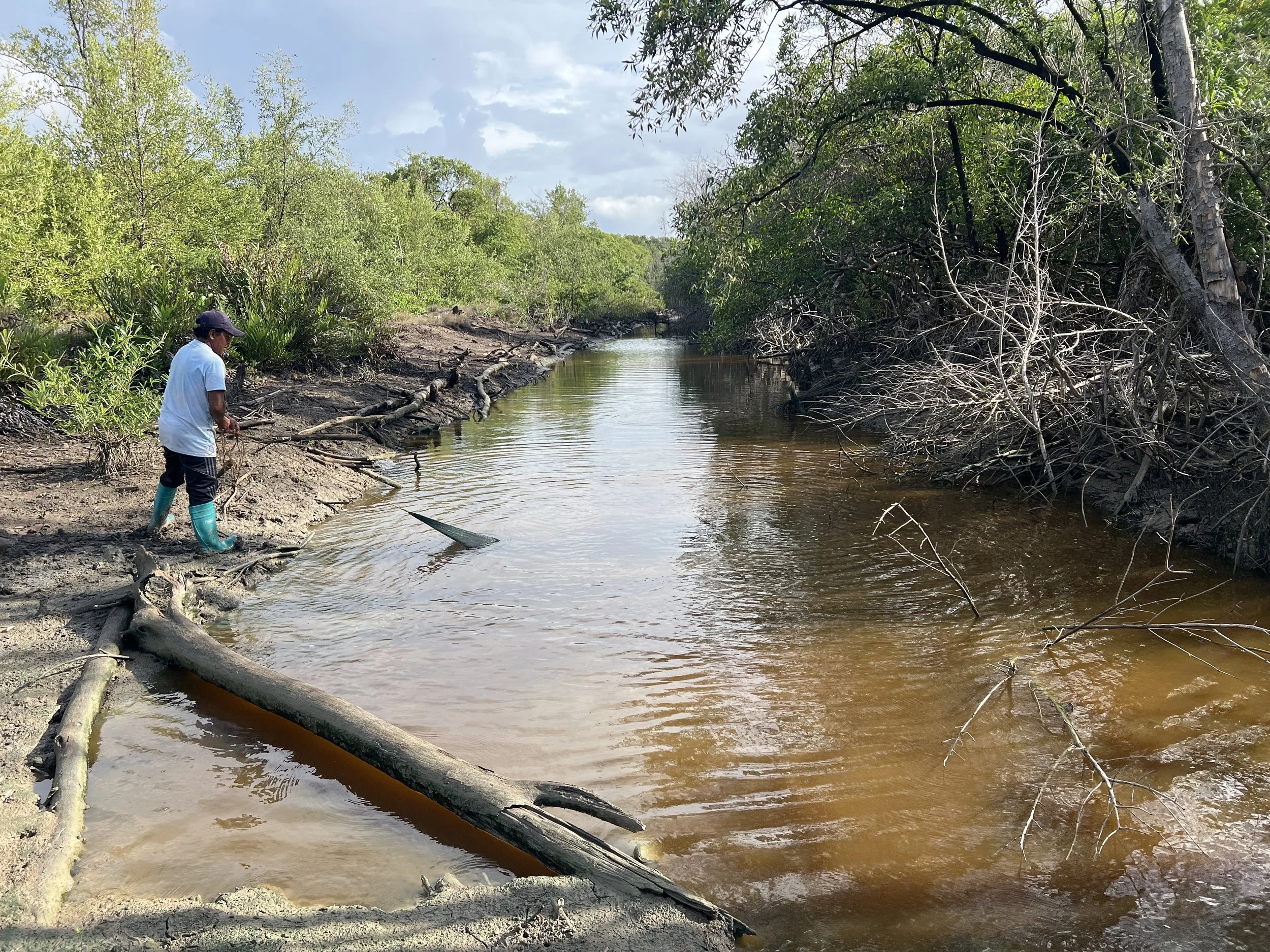 Affirma Consulting Inc. image.