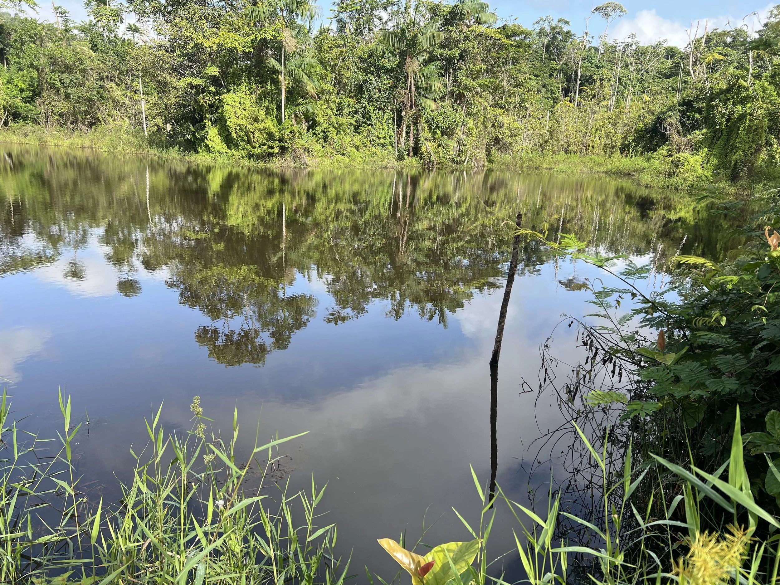 Affirma Consulting Inc. image.