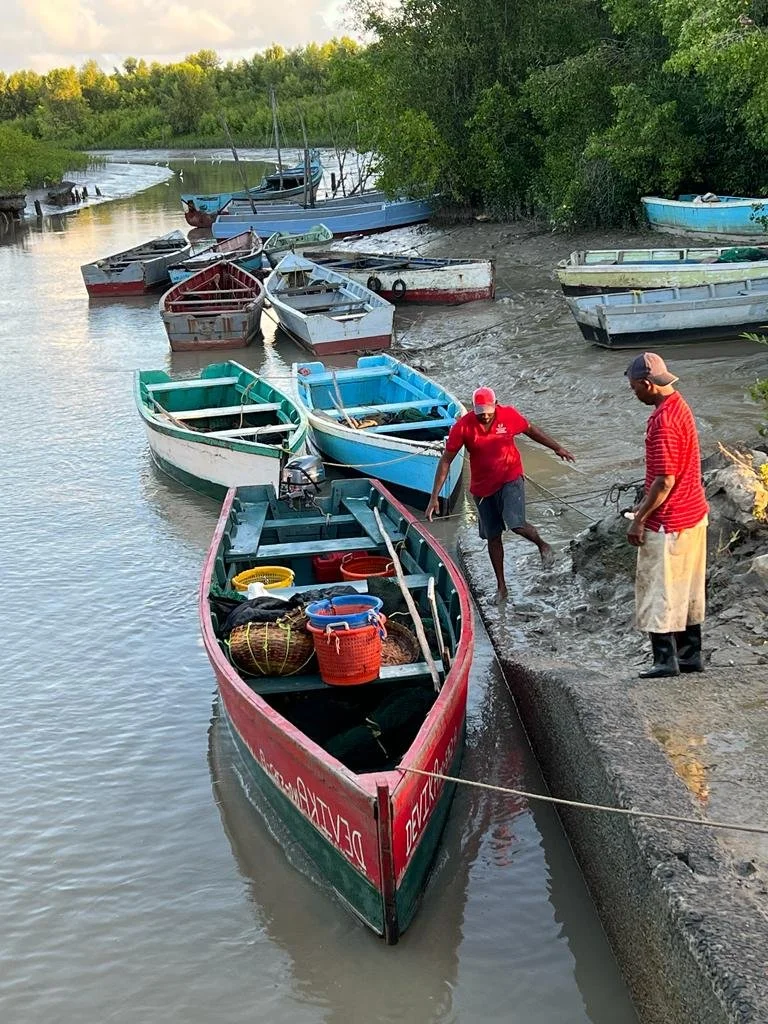 Affirma Consulting Inc. image.