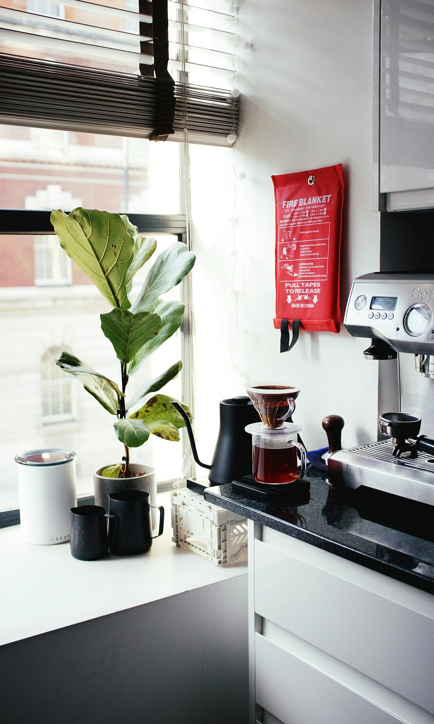 A coffee station on a white kitchen countertop near a window with blinds, featuring a tall plant in a white pot, black mugs, a white air purifier, a siphon coffee maker with a glass container and coffee filter, and a silver espresso machine, with a red fire blanket mounted on the wall.