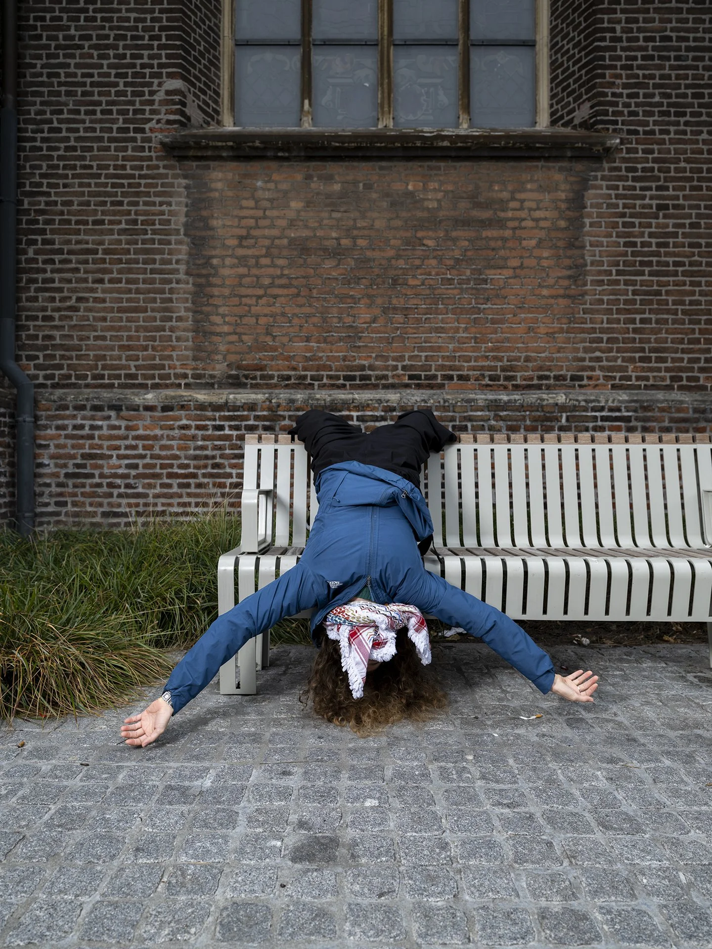 093_DSF3910_Daily life_Up side down.jpg