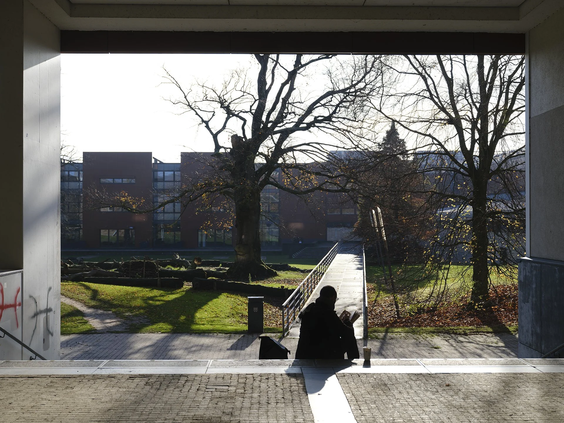 Copy of _DSF6372.jpg