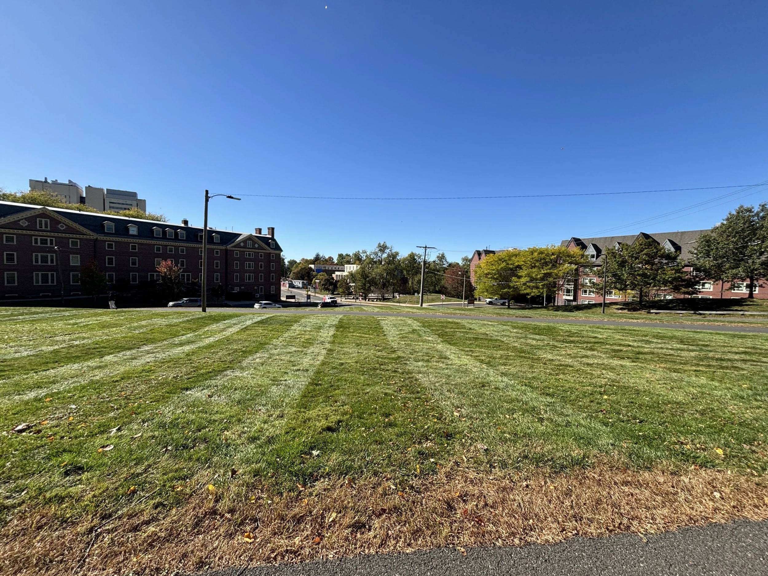 A grassy park with striped mowing pattern, trees, and multi-story brick buildings in the background under a clear blue sky.