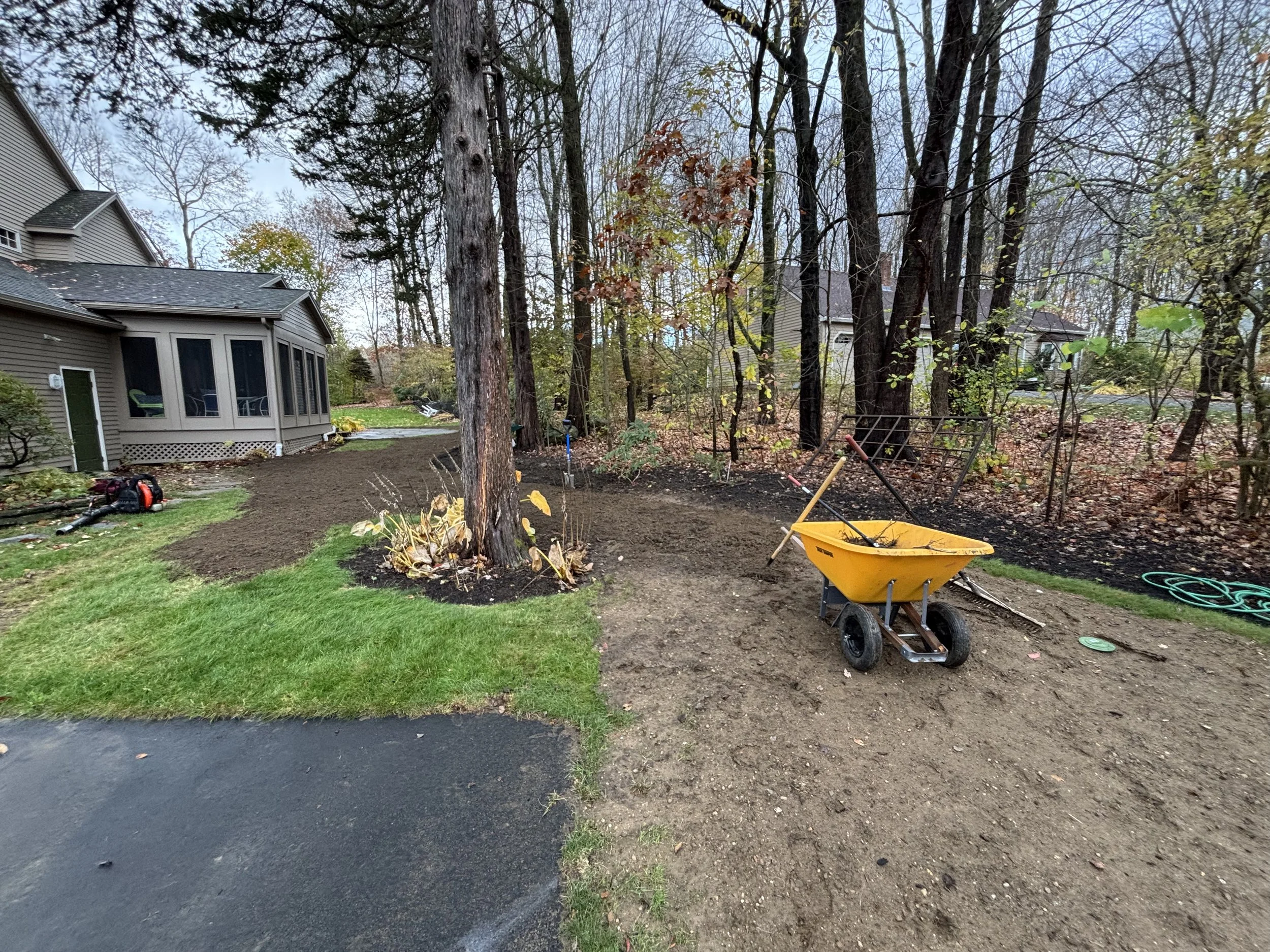Backyard with trees, a house, a wheelbarrow, gardening tools, and a freshly tilled soil area.