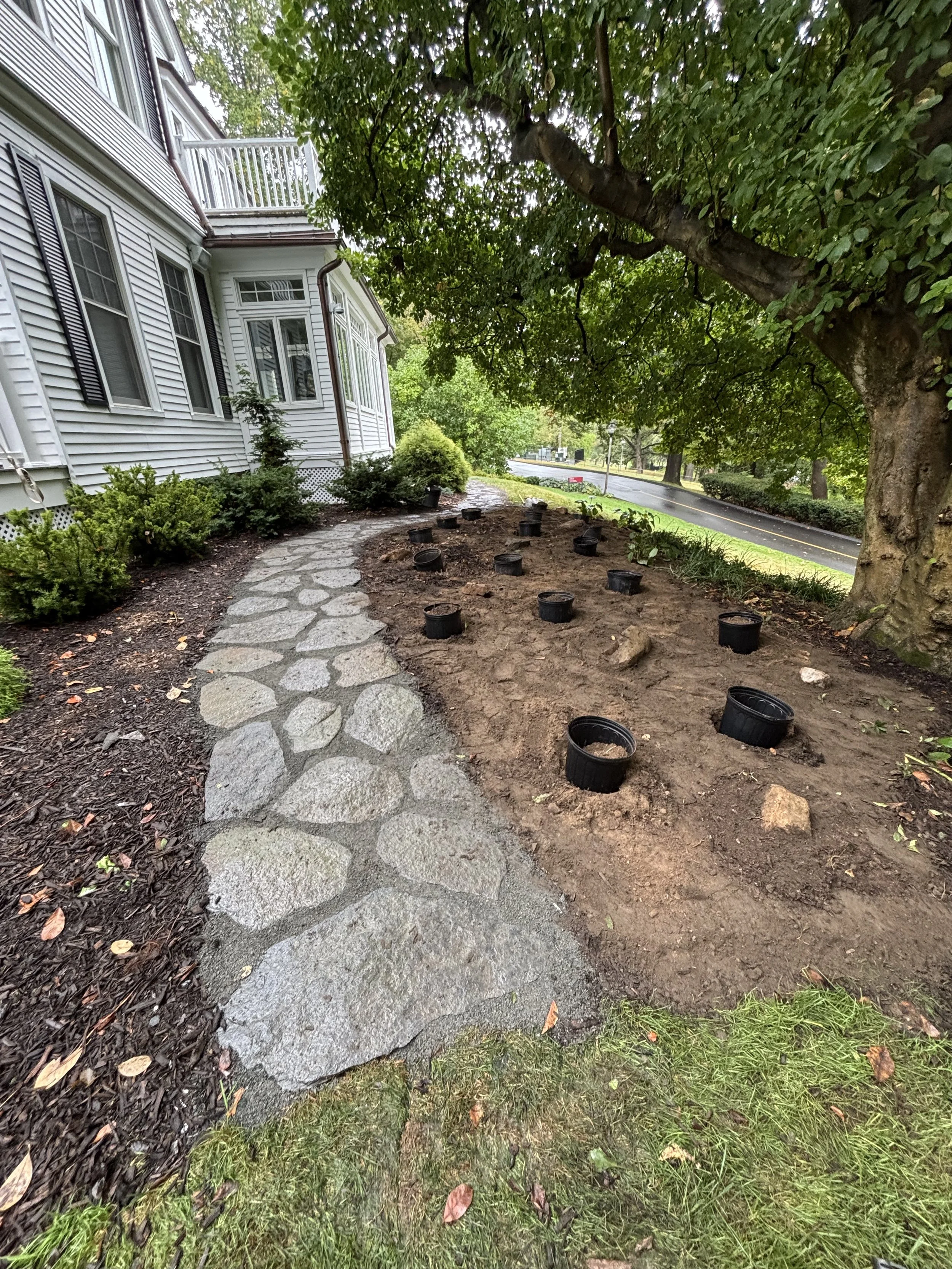 A house with a stone pathway leading to the garden, with black pots set in the dirt for planting, and a large tree providing shade.