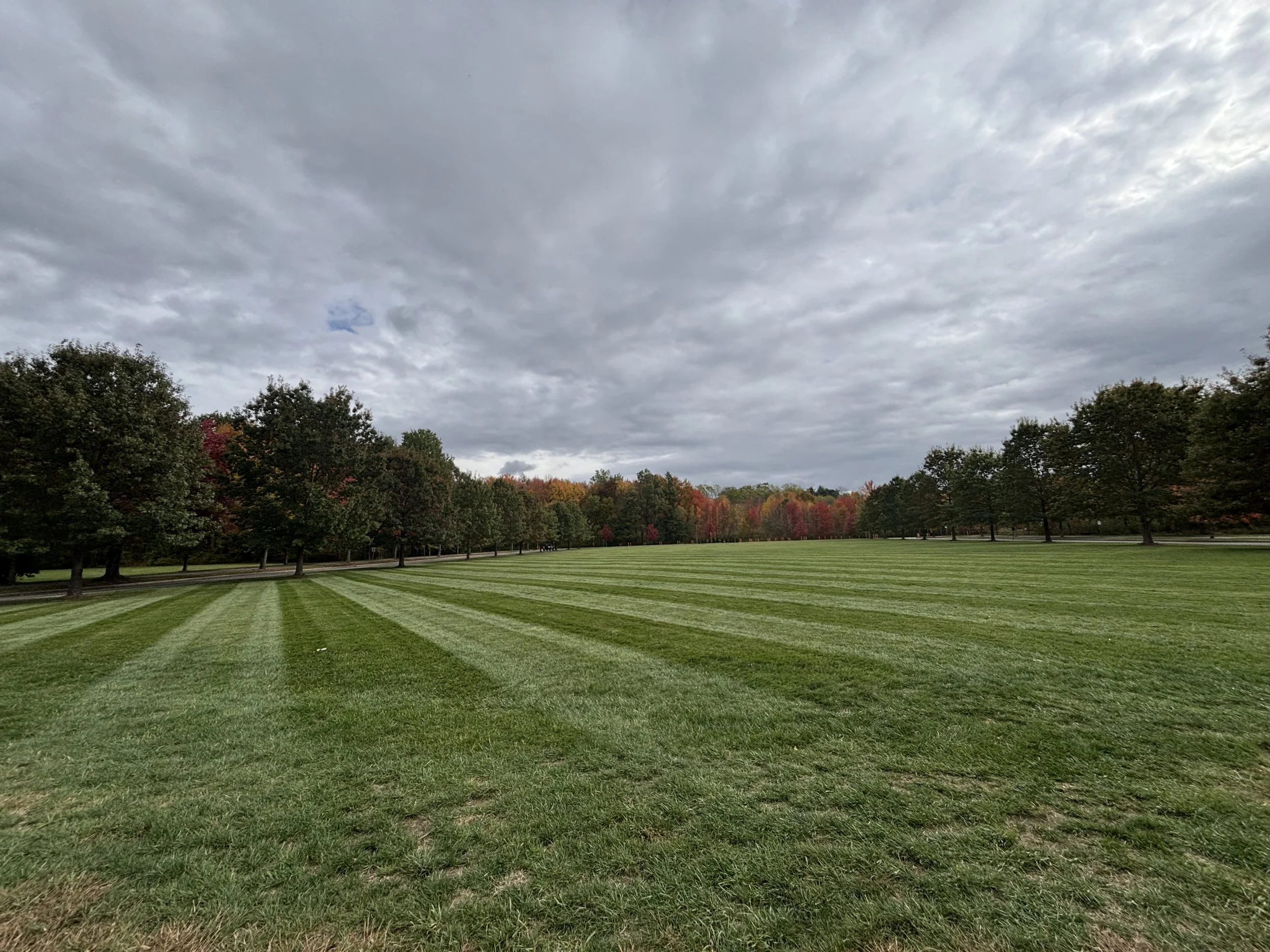 A wide grassy field with neat mower stripes, bordered by trees with fall foliage, under a cloudy sky.