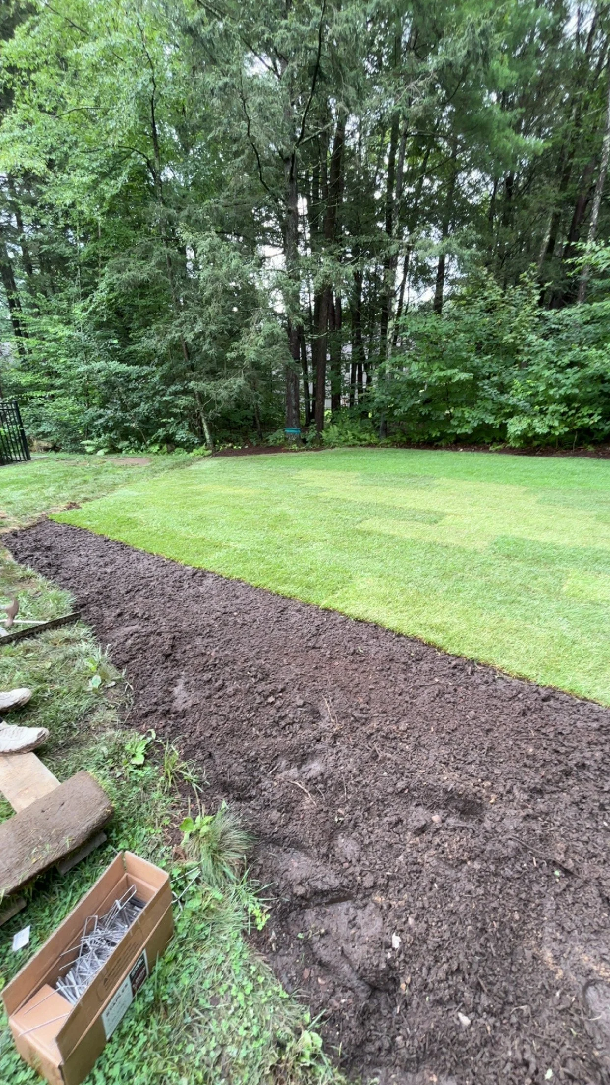 A backyard with a freshly laid sod grass lawn, bordered by tilled soil prepared for planting or landscaping, with wooded trees in the background.